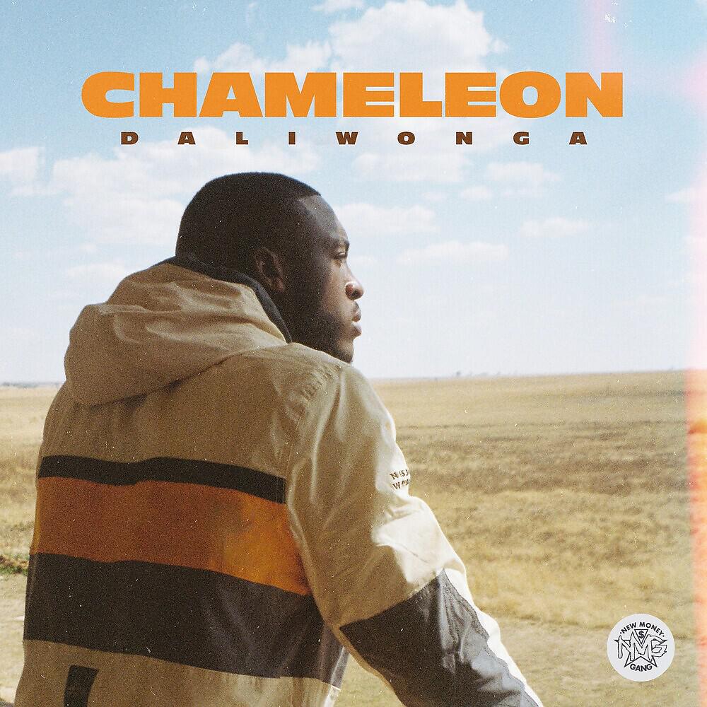 Релиз Chameleon