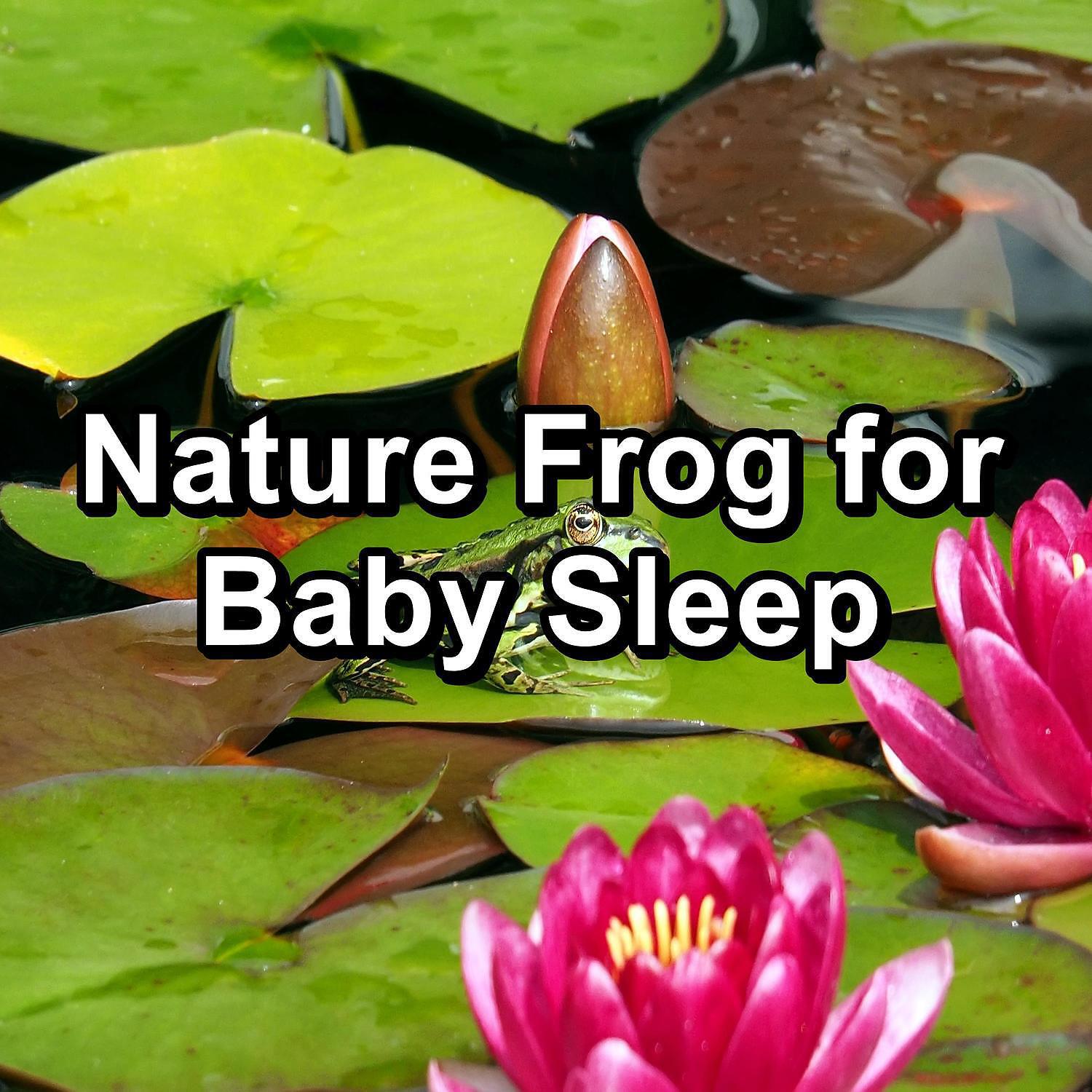 Релиз Nature Frog for Baby Sleep