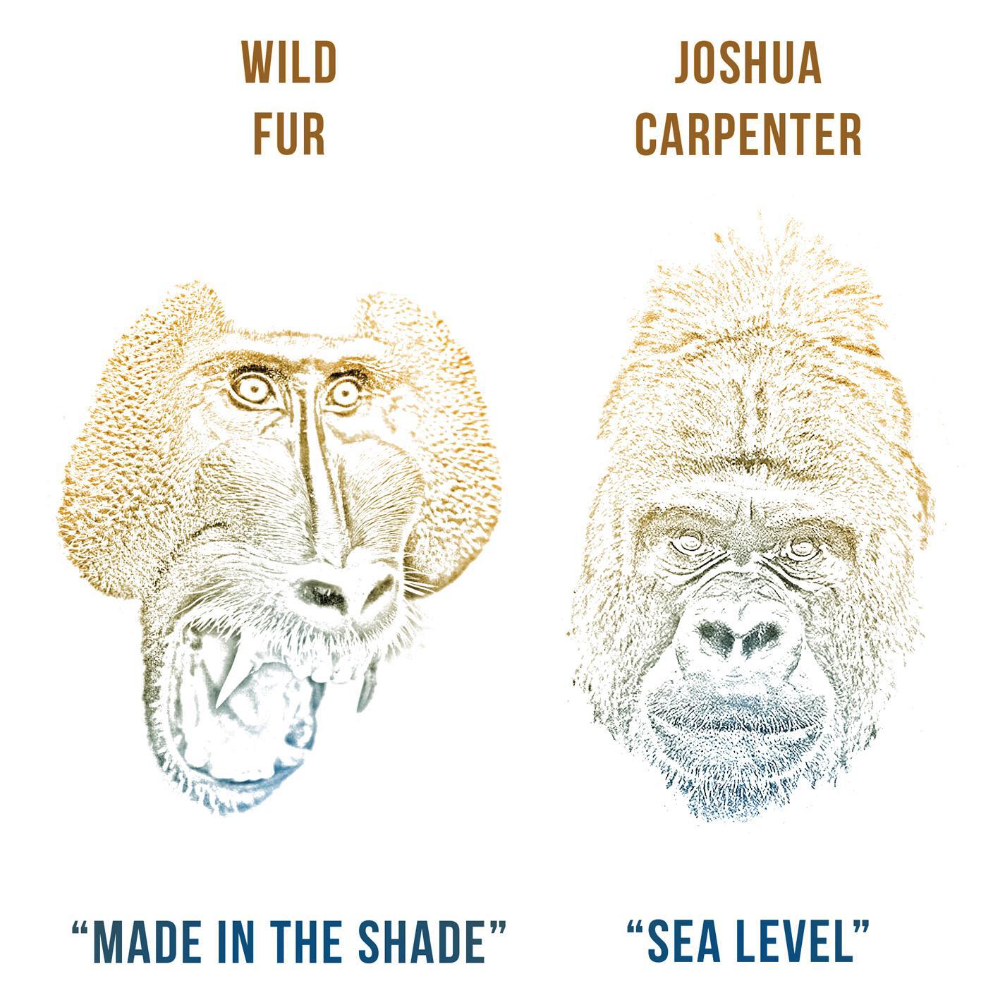 Релиз Wild Fur / Joshua Carpenter