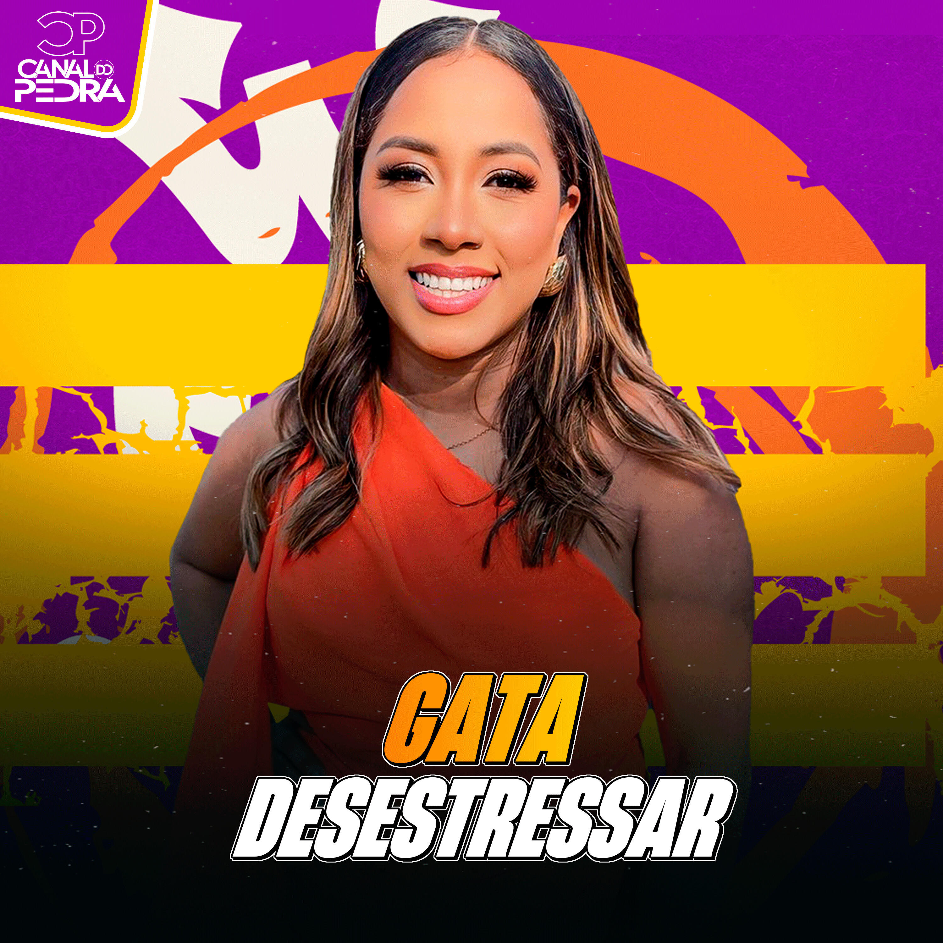 Релиз Gata Desestressar