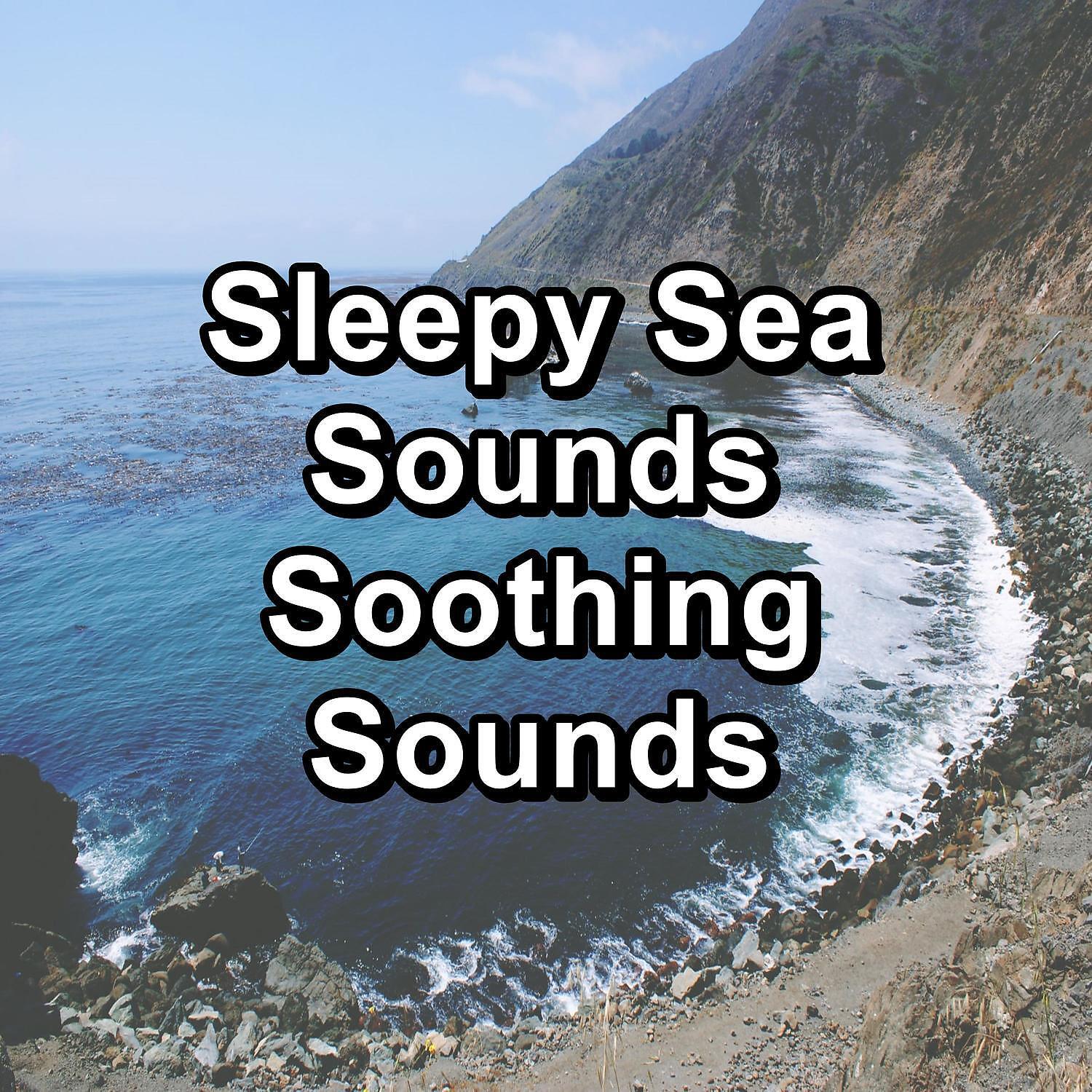Relaxation, Relaxation Study Music, Relaxation Big Band - Relaxing Ocean Sounds For Easy Sleep For Taking a Nap