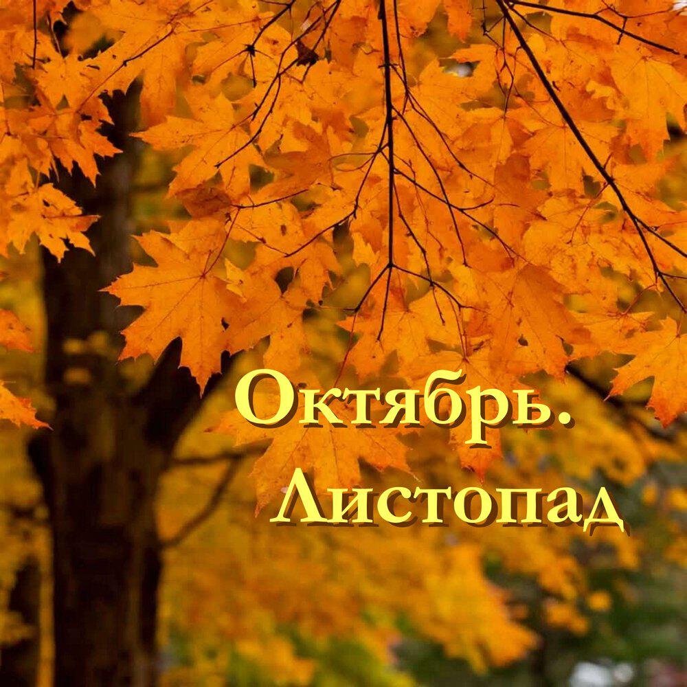 Релиз Октябрь. Листопад