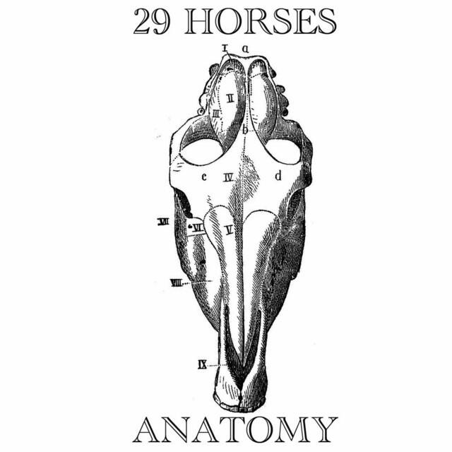 Релиз Anatomy