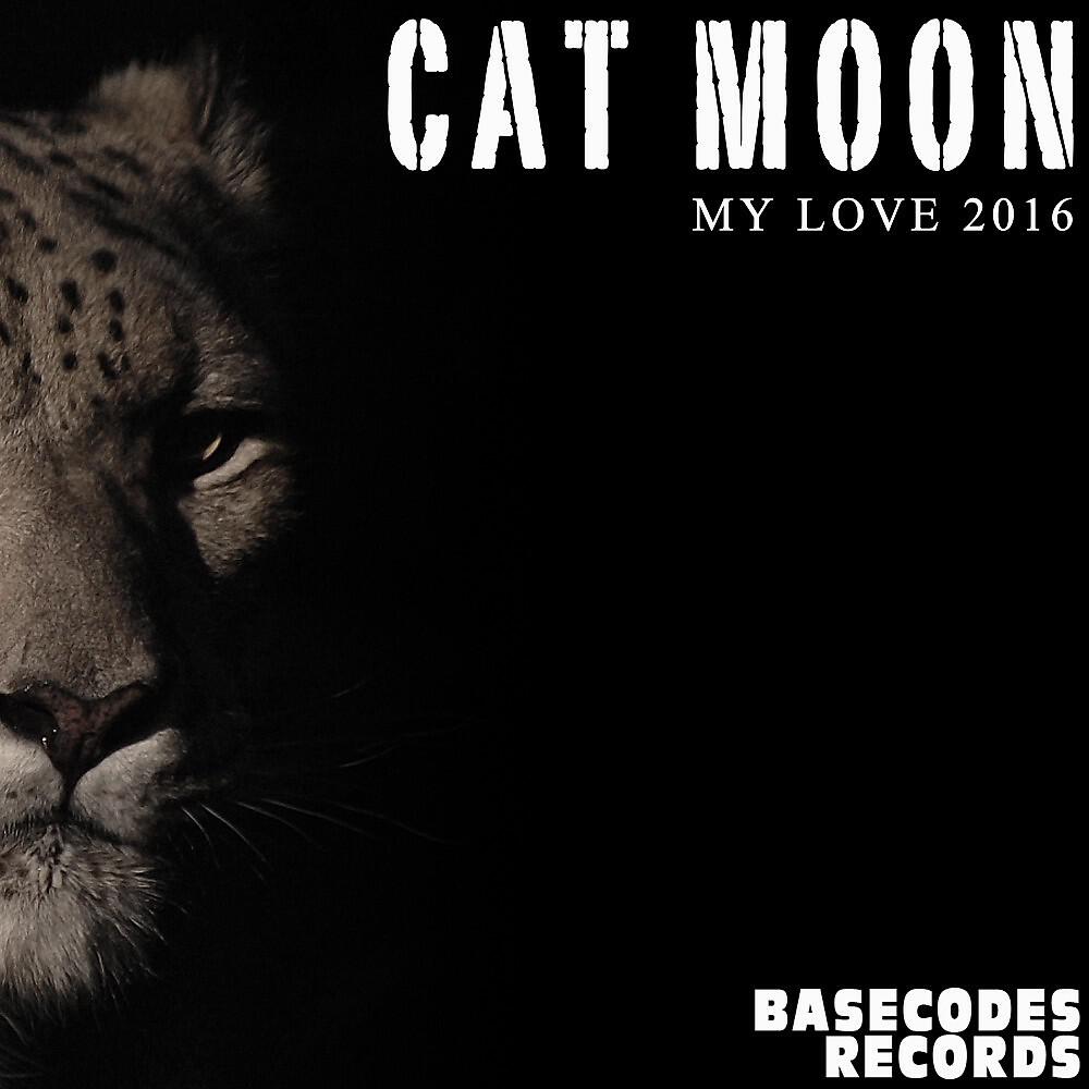 Cat Moon