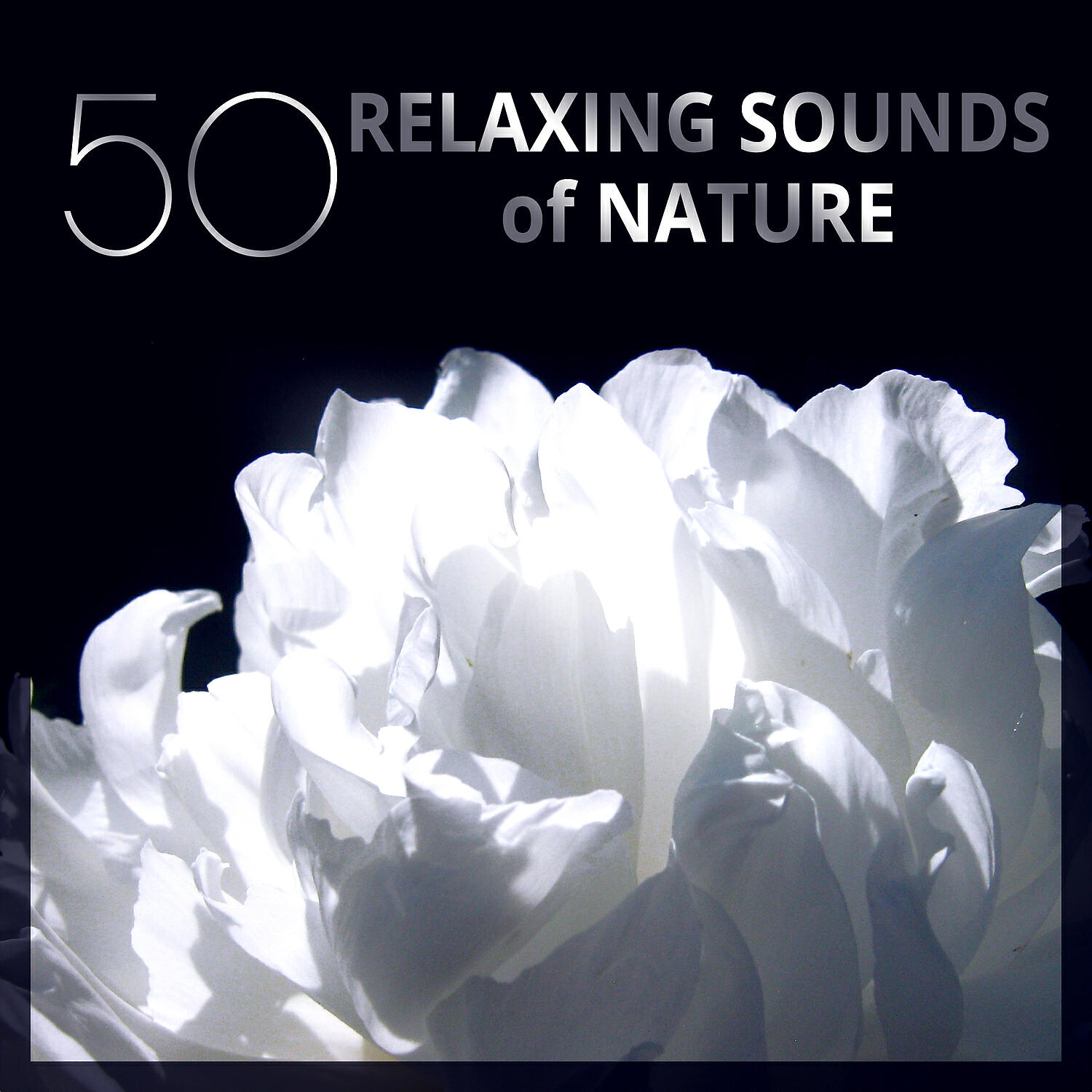 Релиз 50 Relaxing Sounds of Nature: Peaceful Music for Spa Treatments, Asian Yoga Meditation, Massage & Stress Release