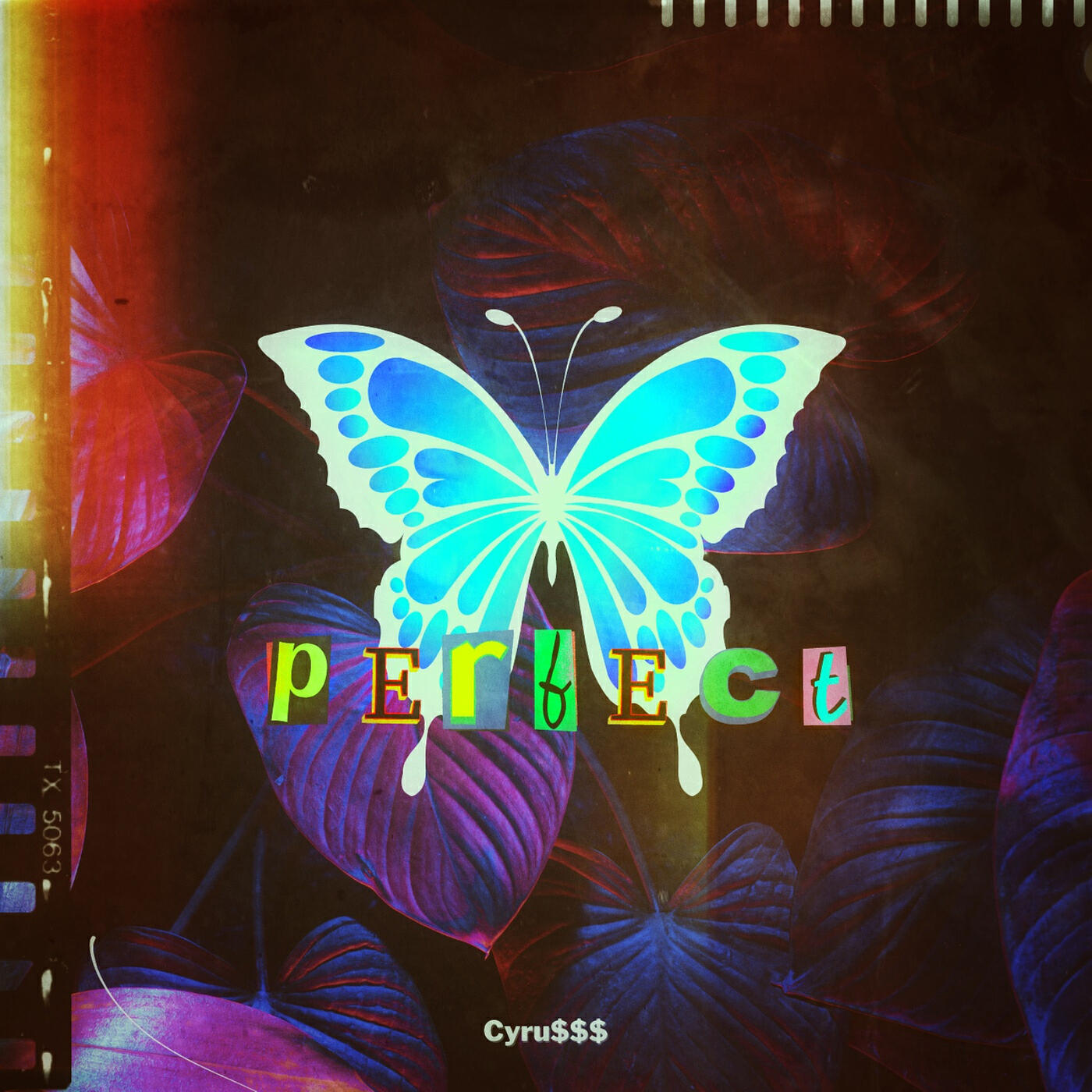 Релиз Perfect