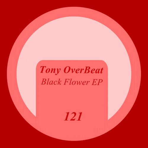 Релиз Black Flower
