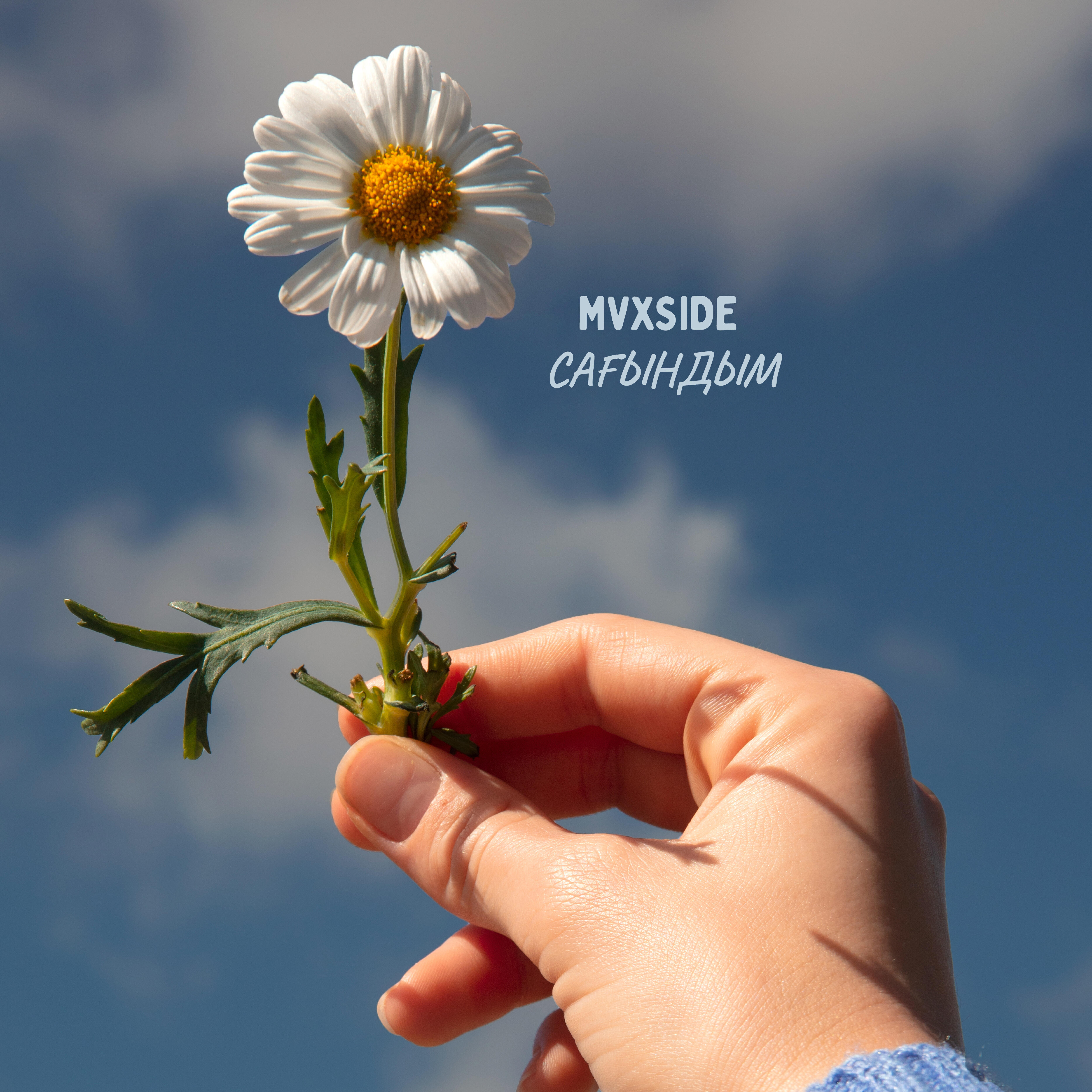 Обложка артиста