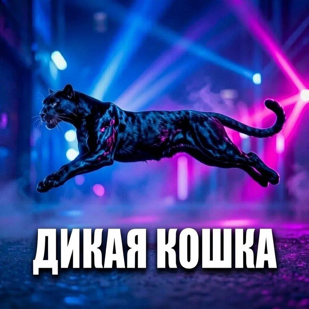 Релиз Дикая кошка