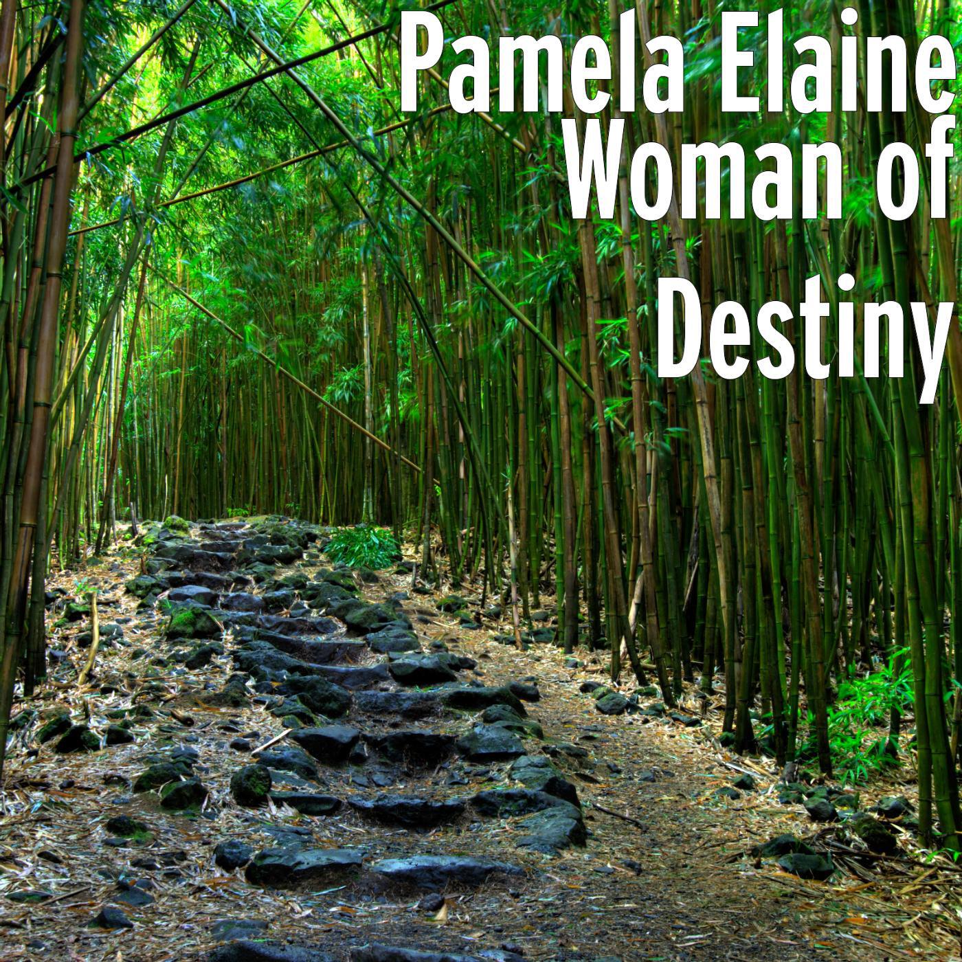 Релиз Woman of Destiny (feat. Shelly Pullian, Linda Brown, Cheryl Hurley & Cheryl Nichols)