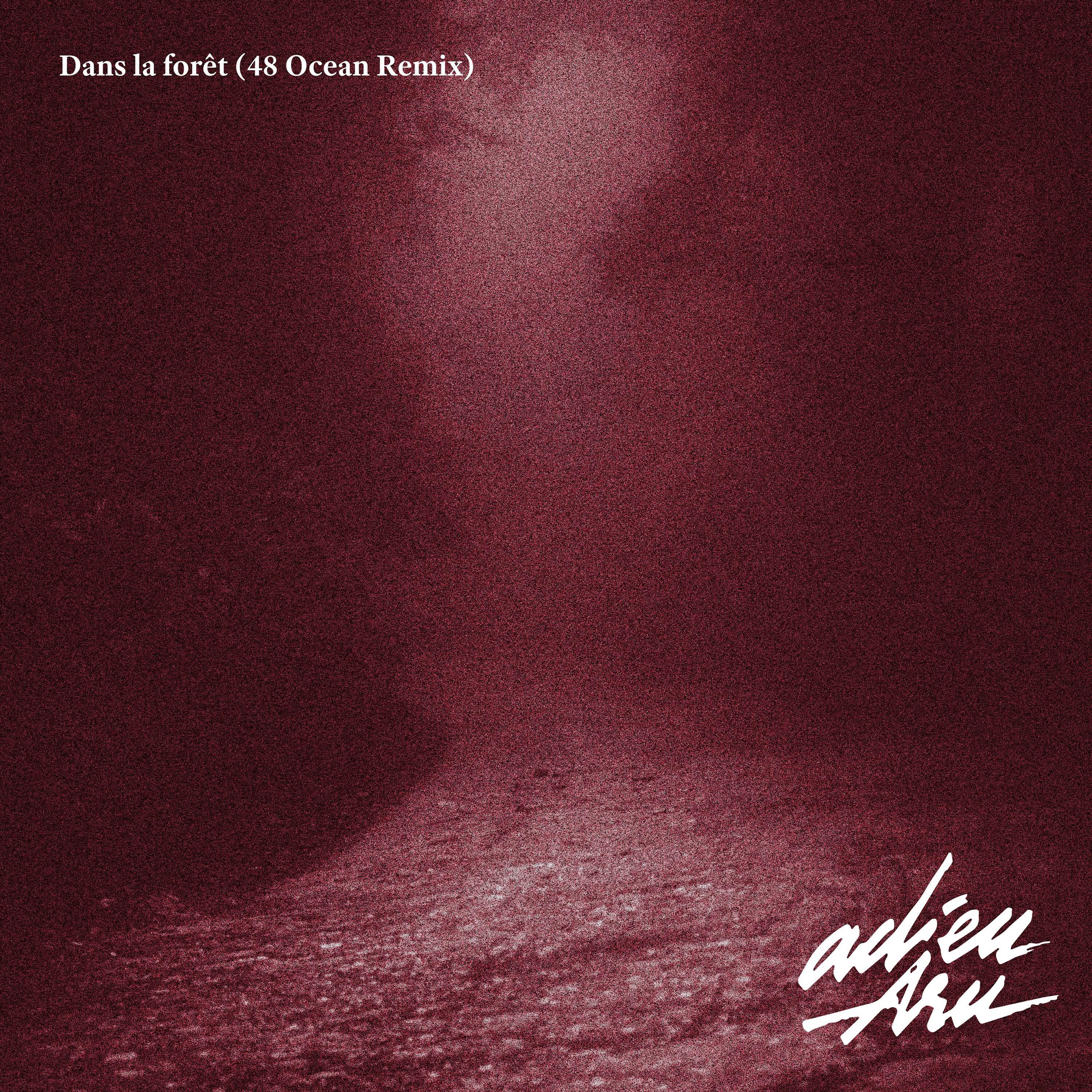 Релиз Dans la forêt (48 Ocean Remix)