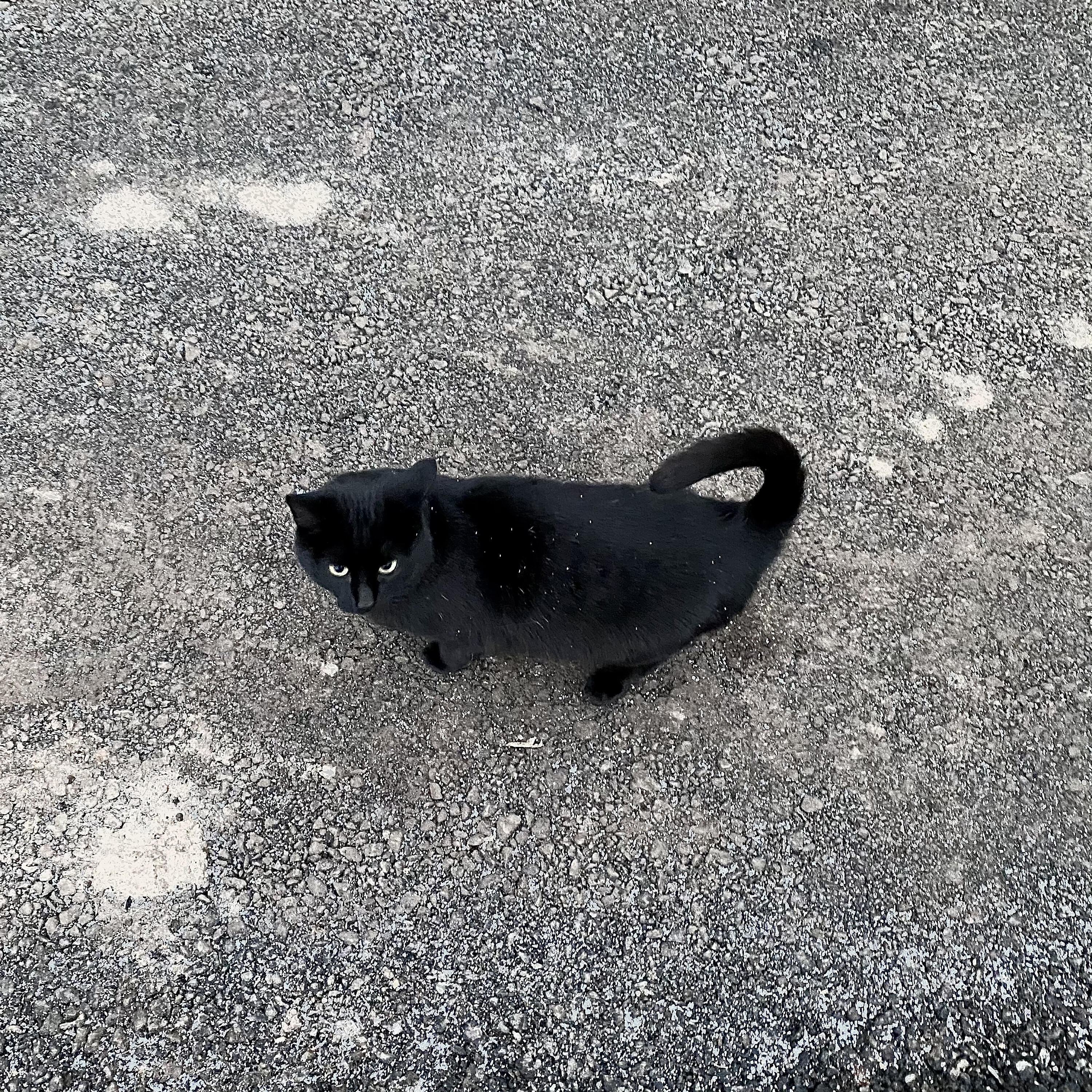 Релиз Out of 300