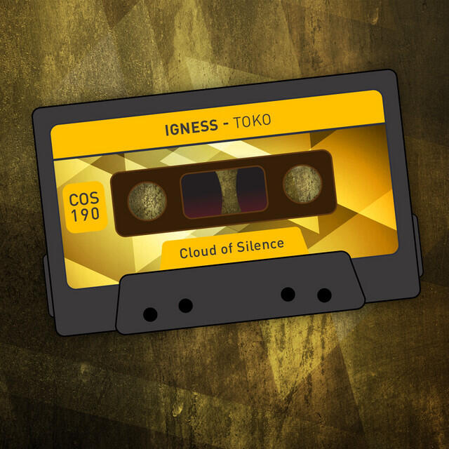Igness все песни в mp3