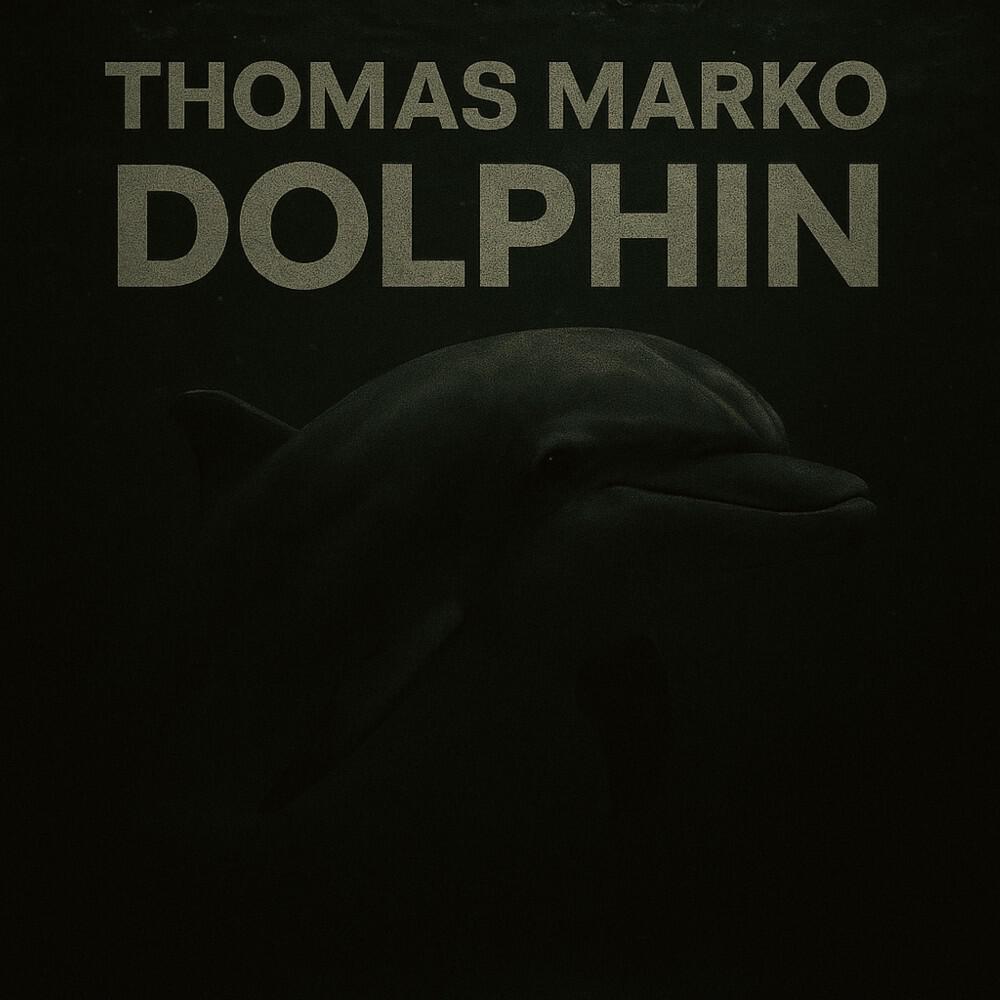 Релиз Dolphin