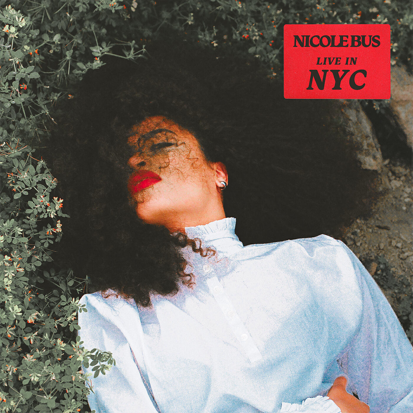 Релиз Live In NYC