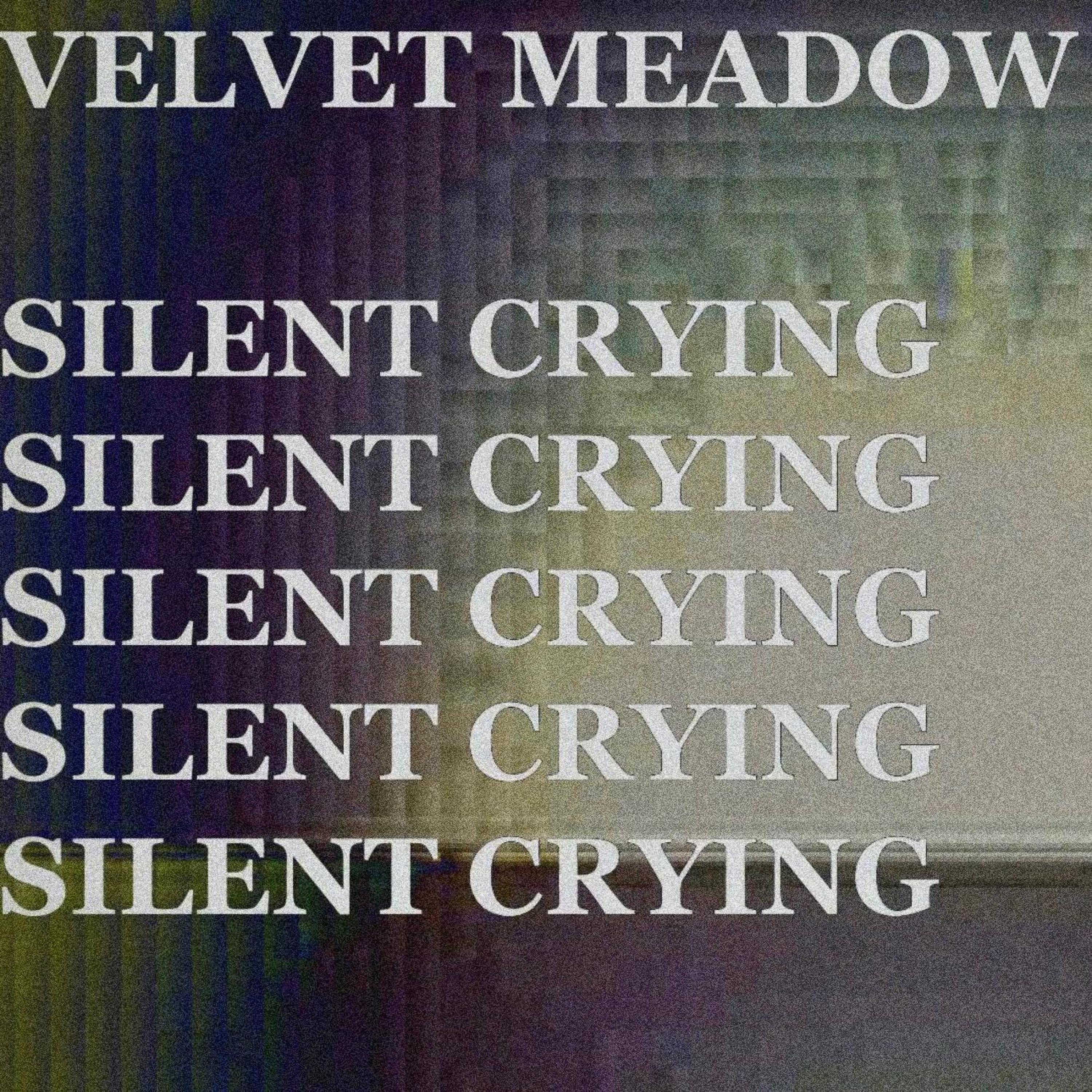 Релиз Silent Crying