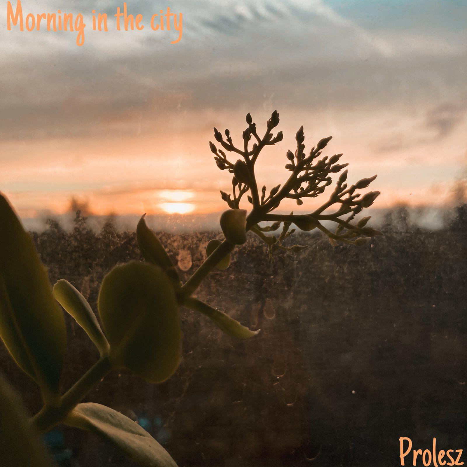 Релиз Morning in the city