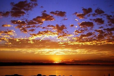 Rising Dawn