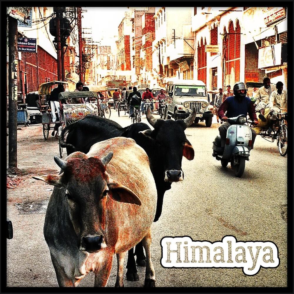 Релиз Himalaya (Überarbeitet 2024)