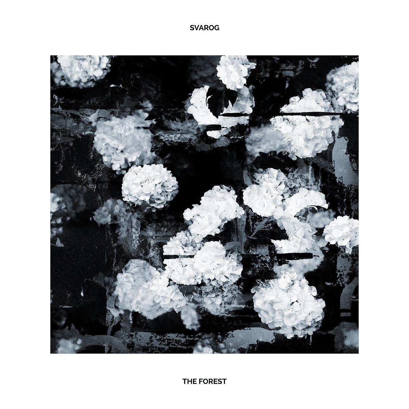 Релиз The Forest