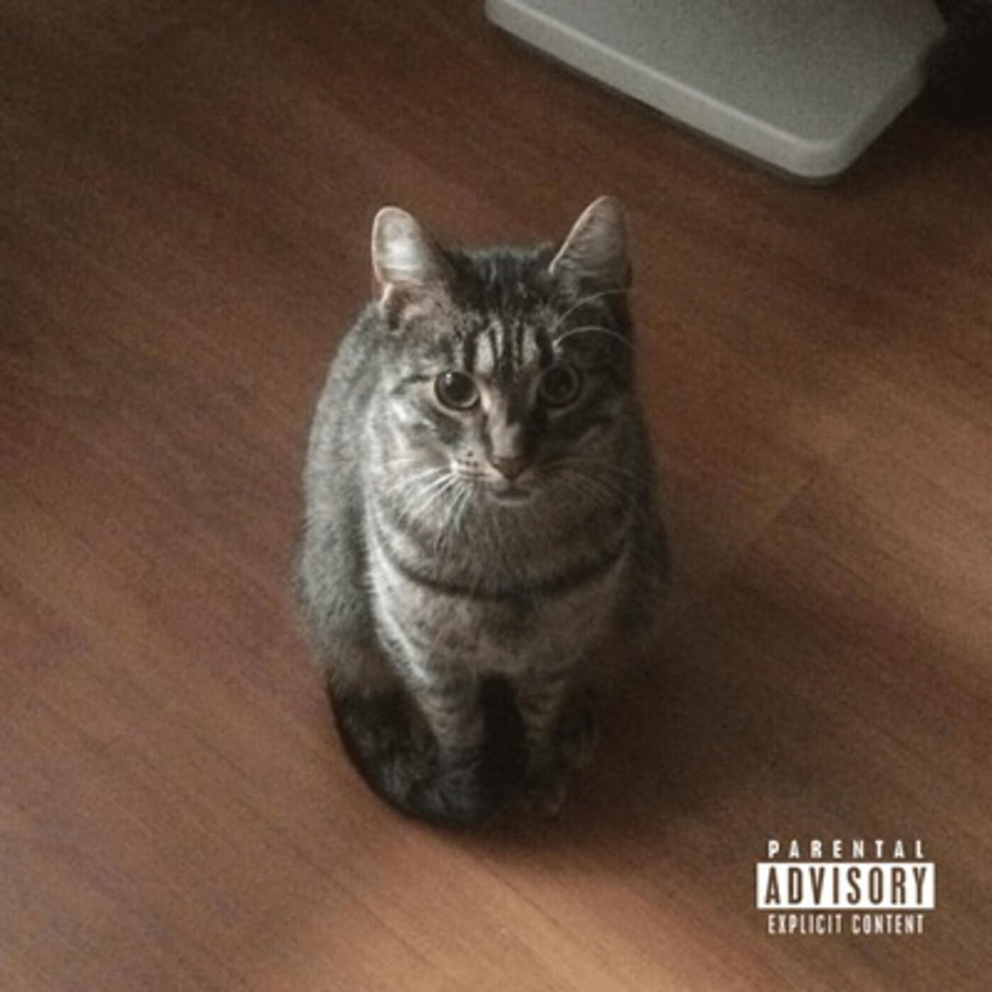 Релиз Poes