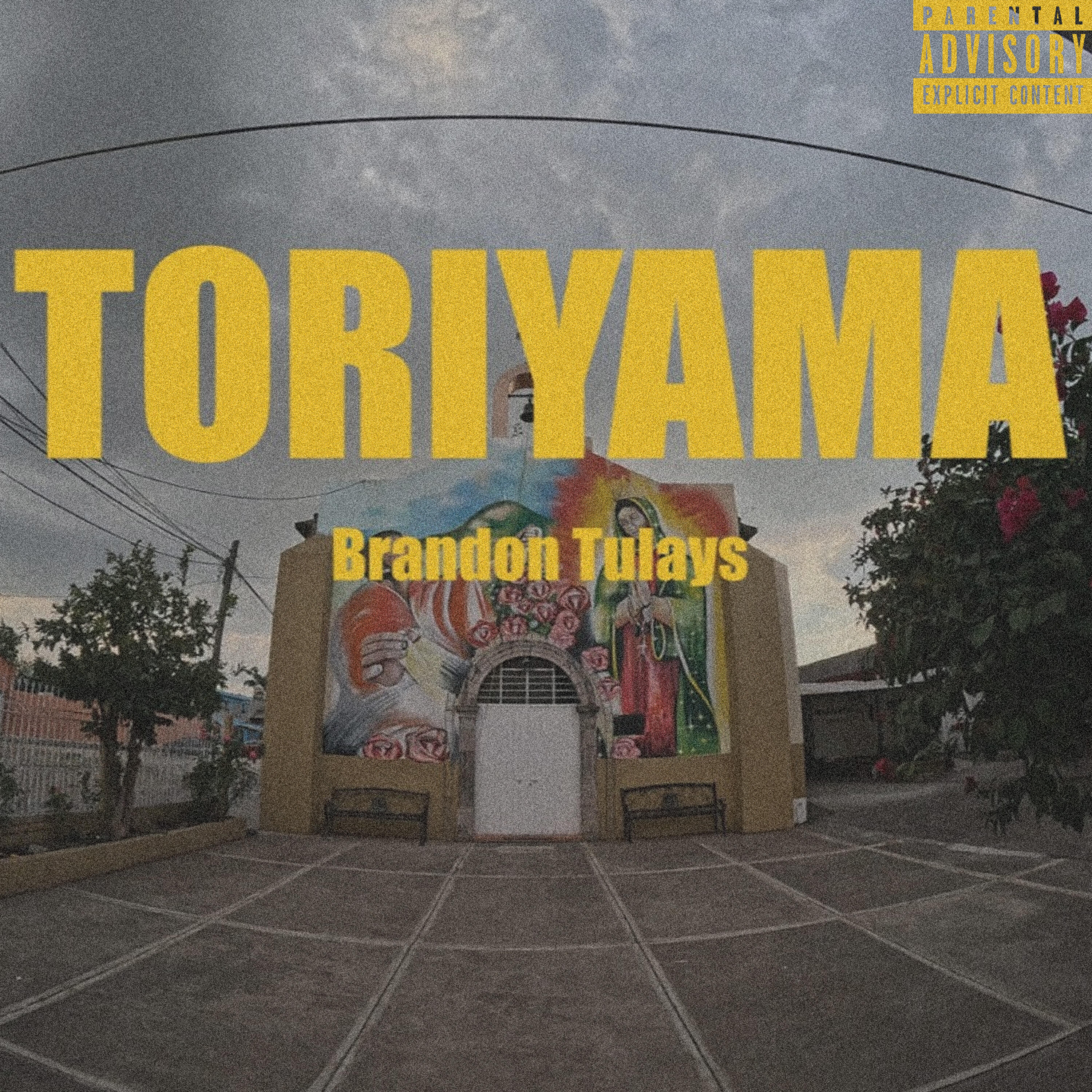 Релиз Toriyama
