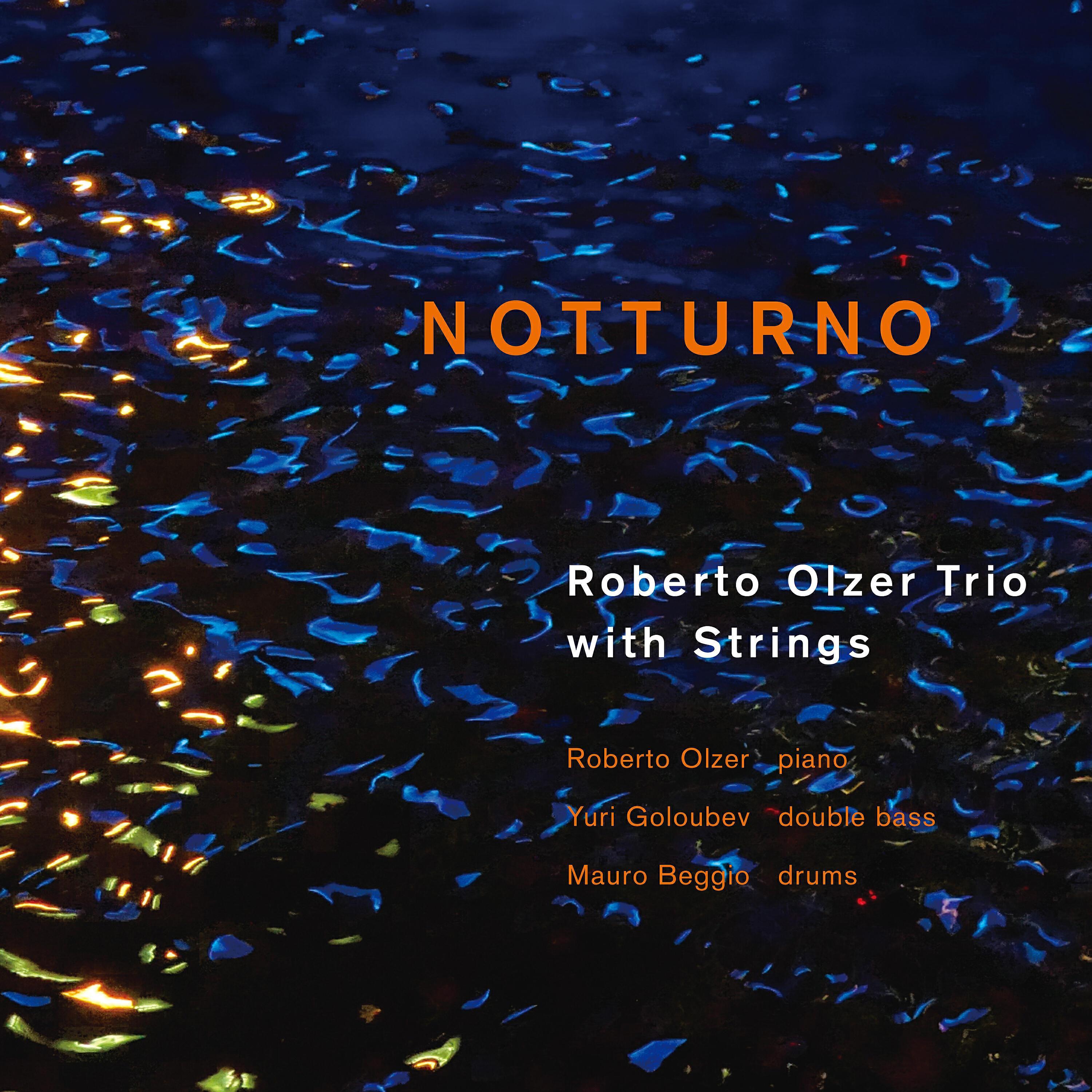 Roberto Olzer trio