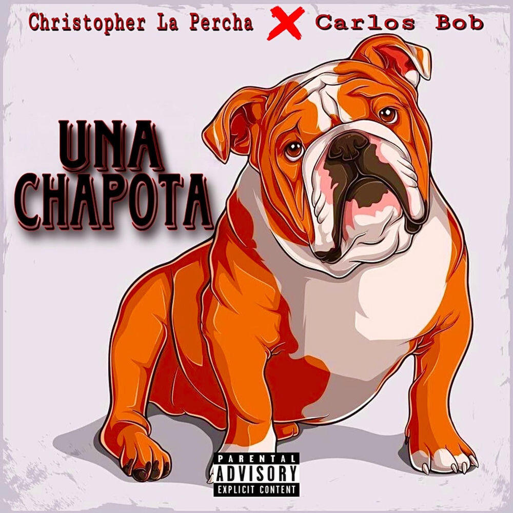 Carlos Bob