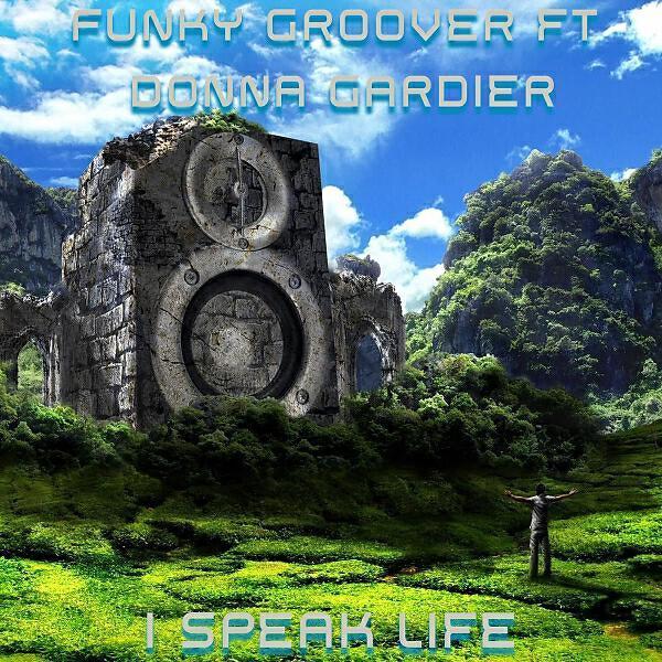Funky Groover