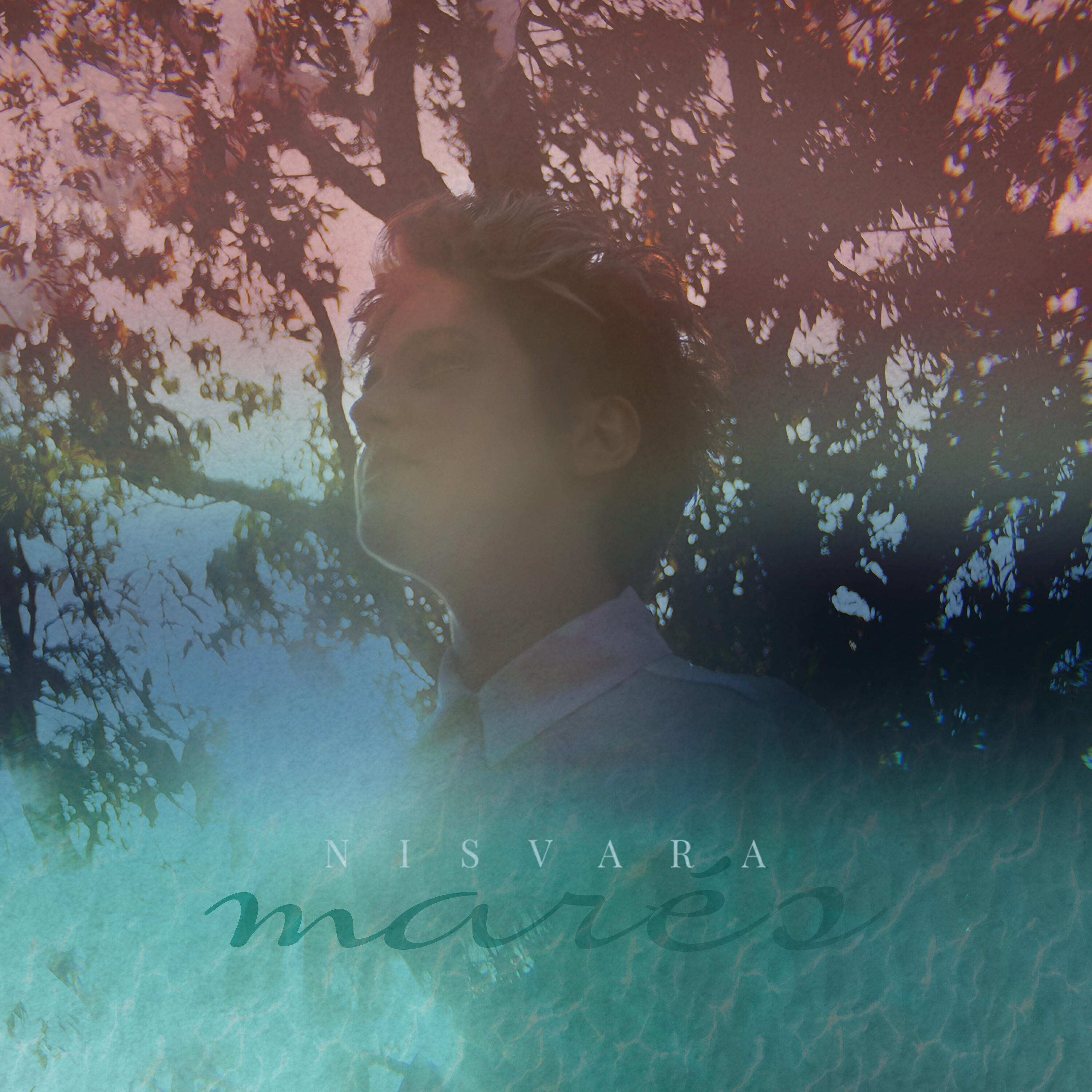 Nisvara