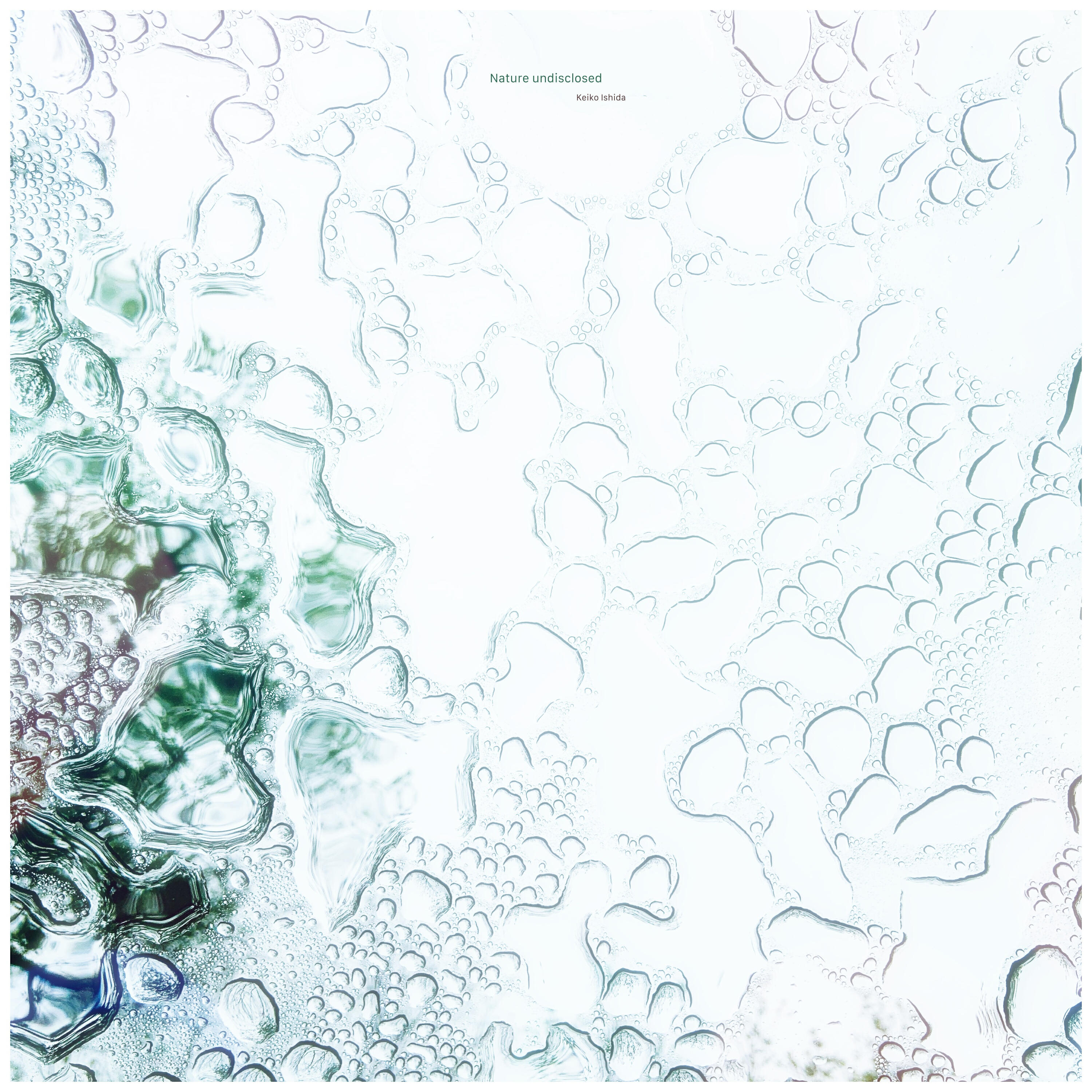 Релиз Nature undisclosed