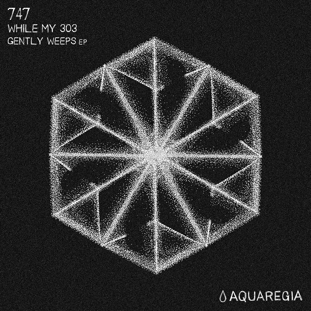 Постер альбома While My 303 Gently Weeps EP