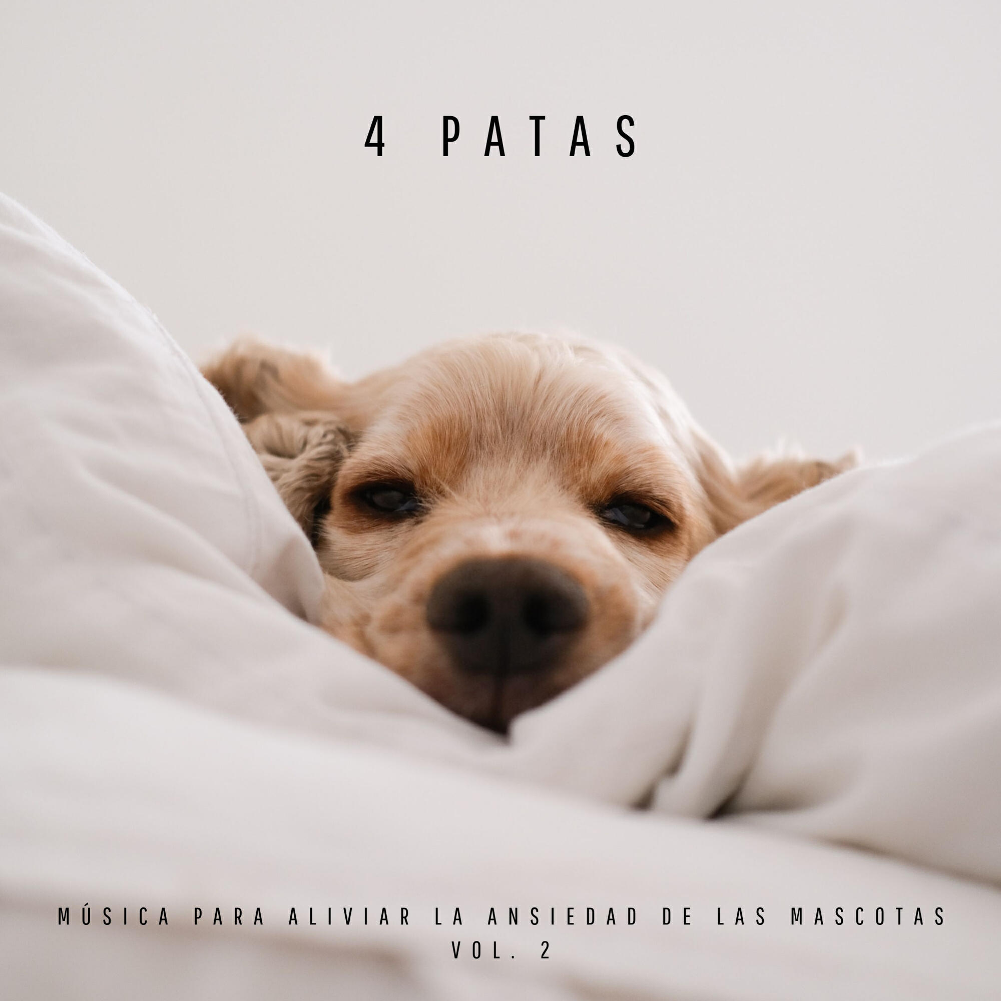 Релиз 4 Patas: Música Para Aliviar La Ansiedad De Las Mascotas Vol. 2