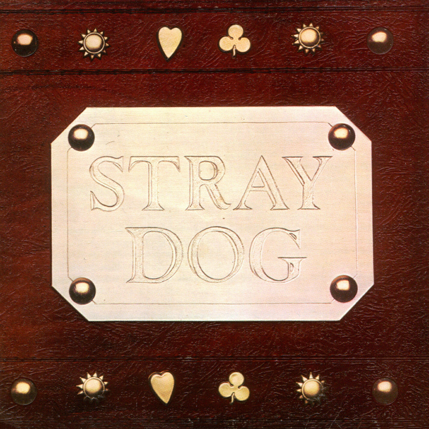 Релиз Stray Dog