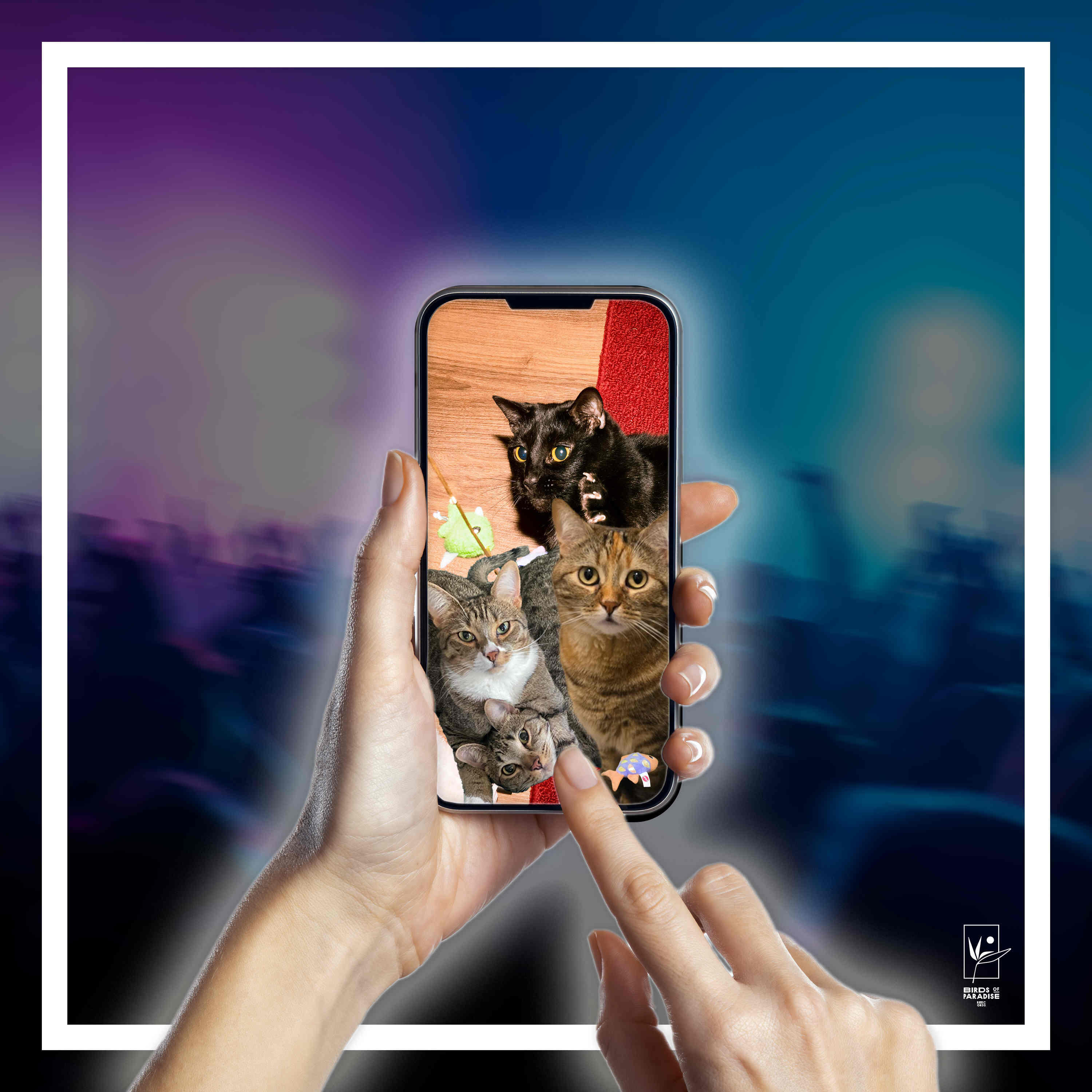 Релиз lemmetellyaboutmycat