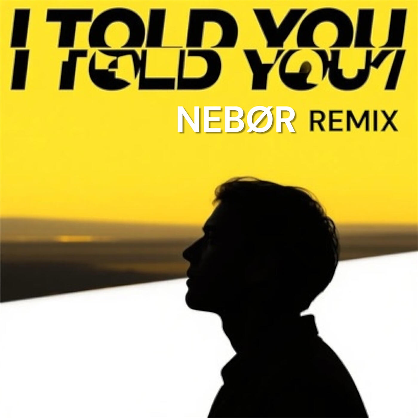 Релиз I Told You (Remix)