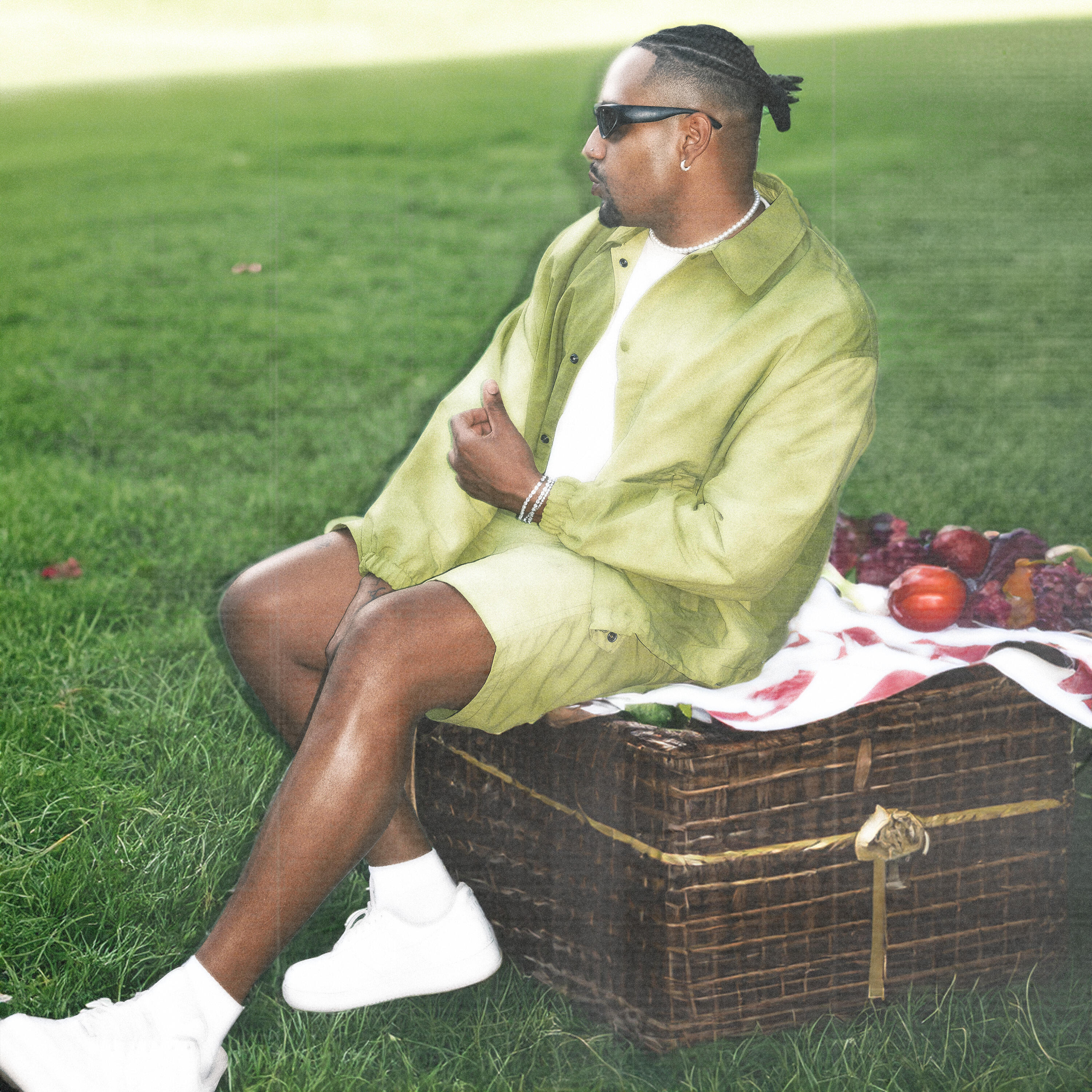 Релиз Picnic