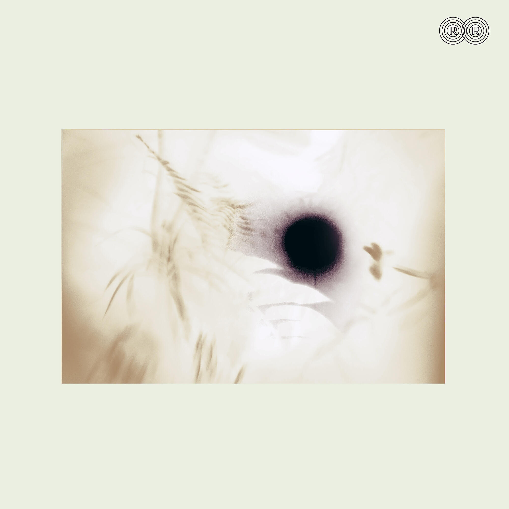 Релиз Five Hundred Fink Experience
