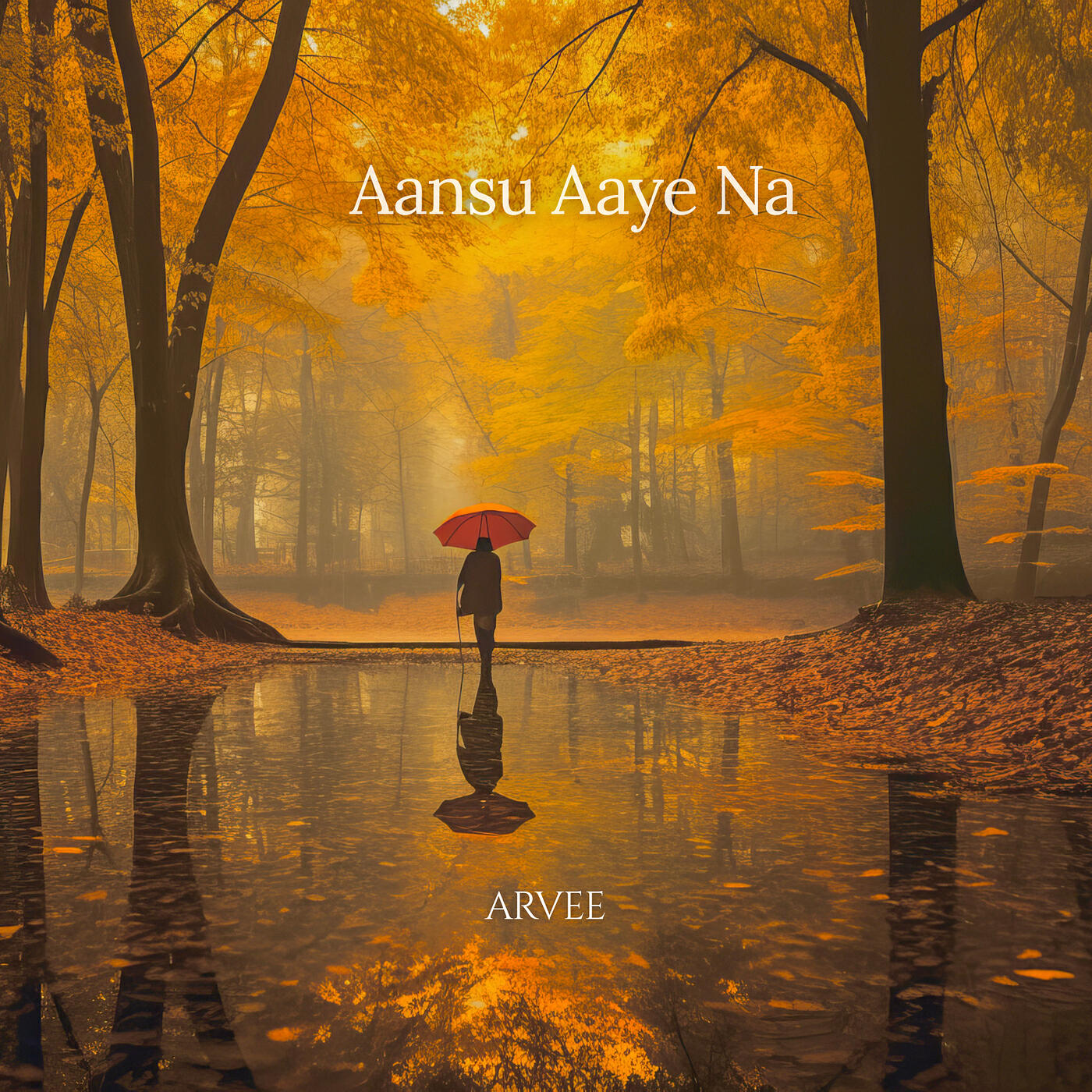 Релиз Aansu Aaye Na