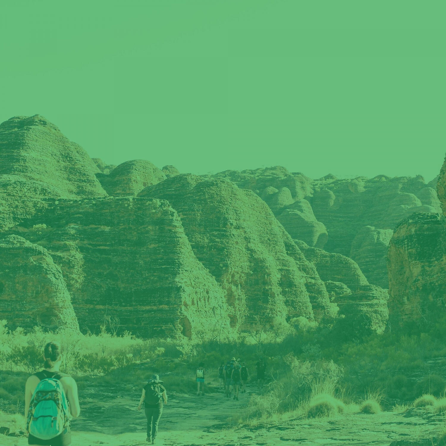 Релиз Echoes of Quiet Tranquility