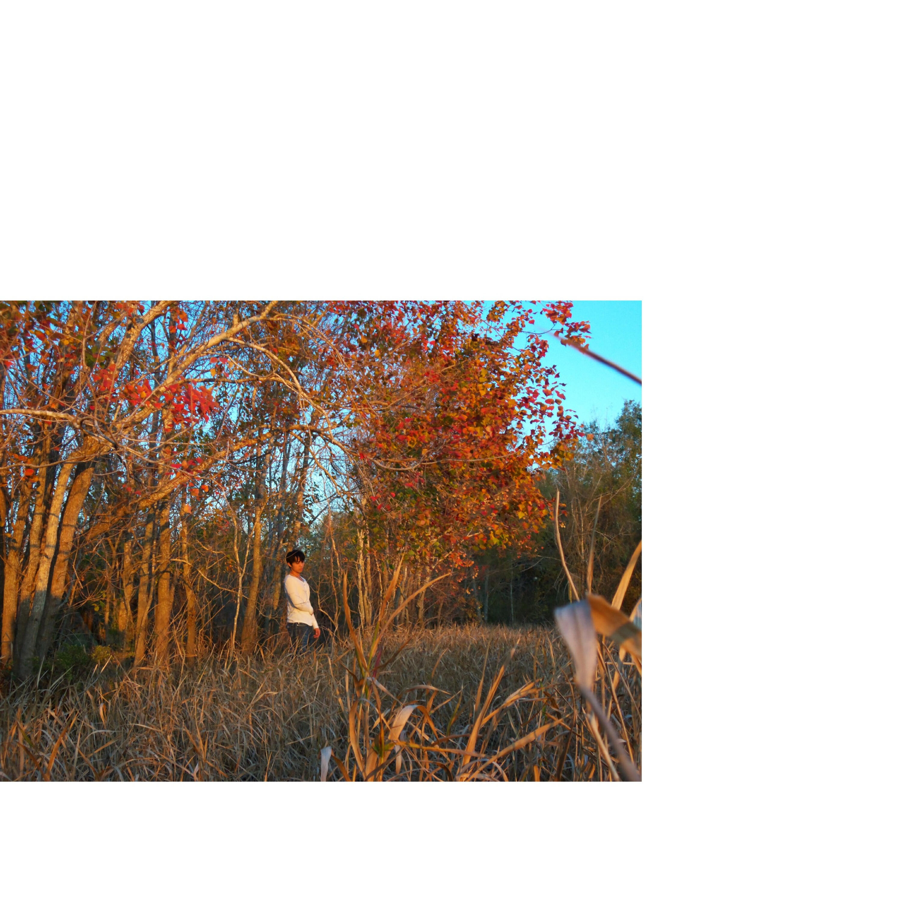 Релиз Buckwheat