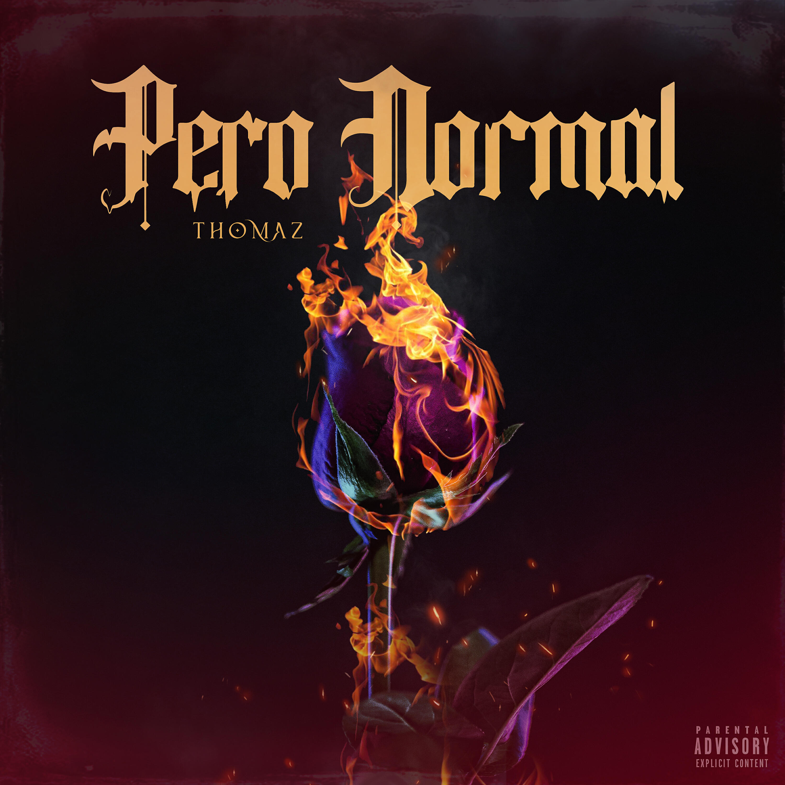 Релиз Pero Normal
