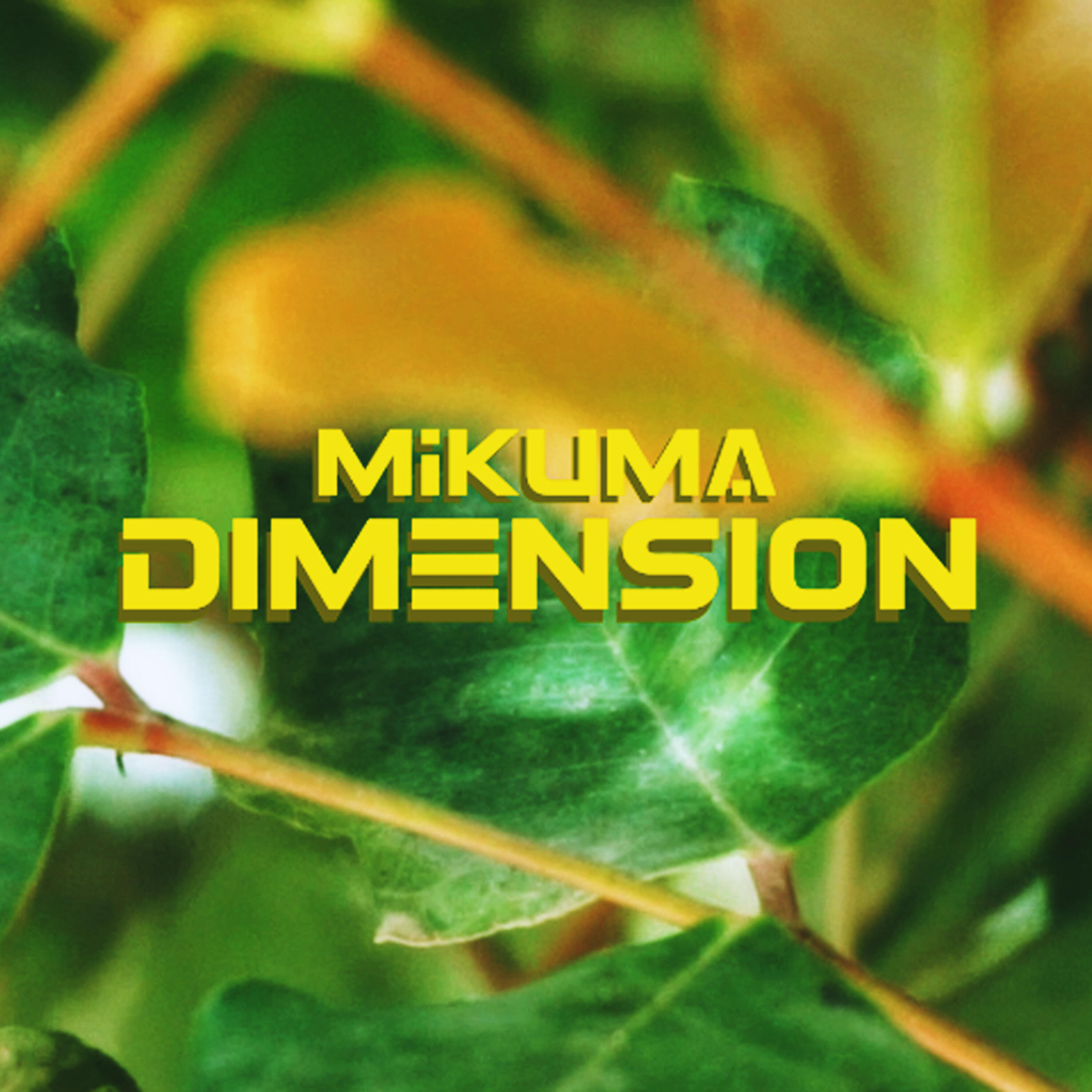 Релиз Dimension