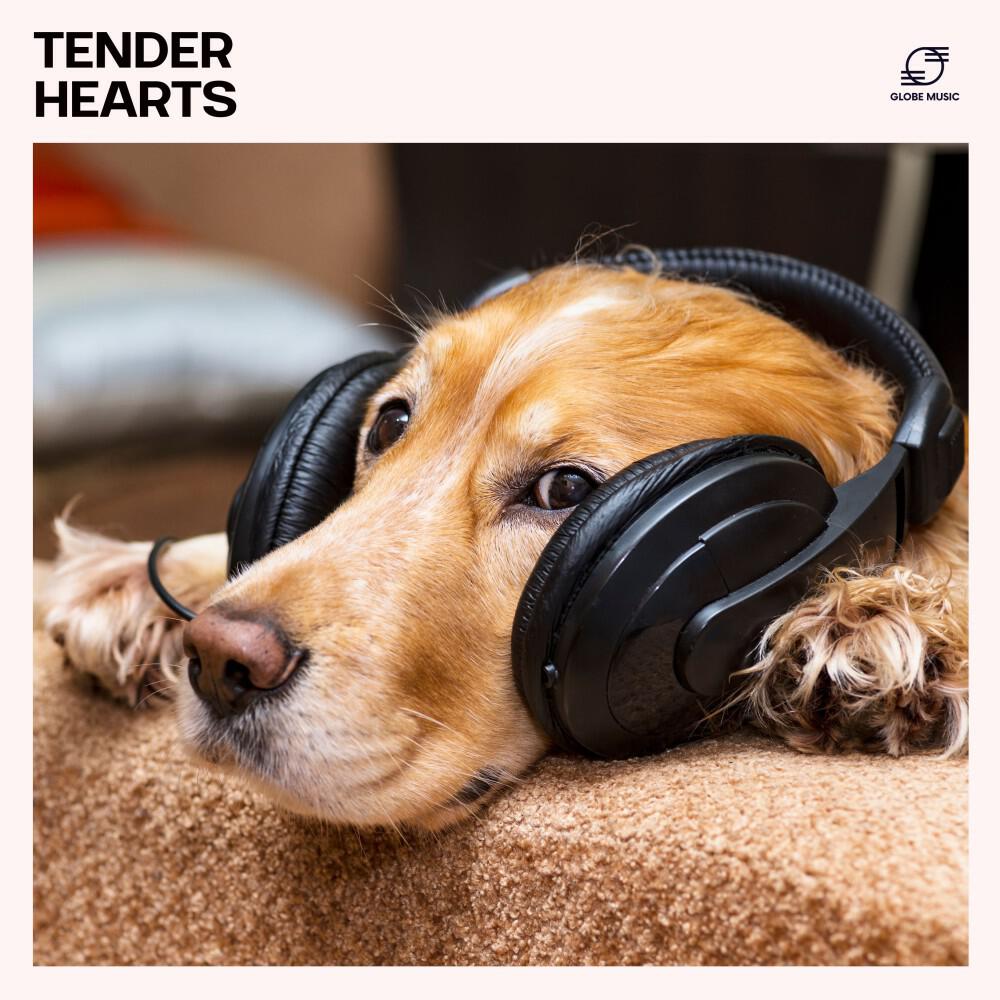 Pet Music Doctor