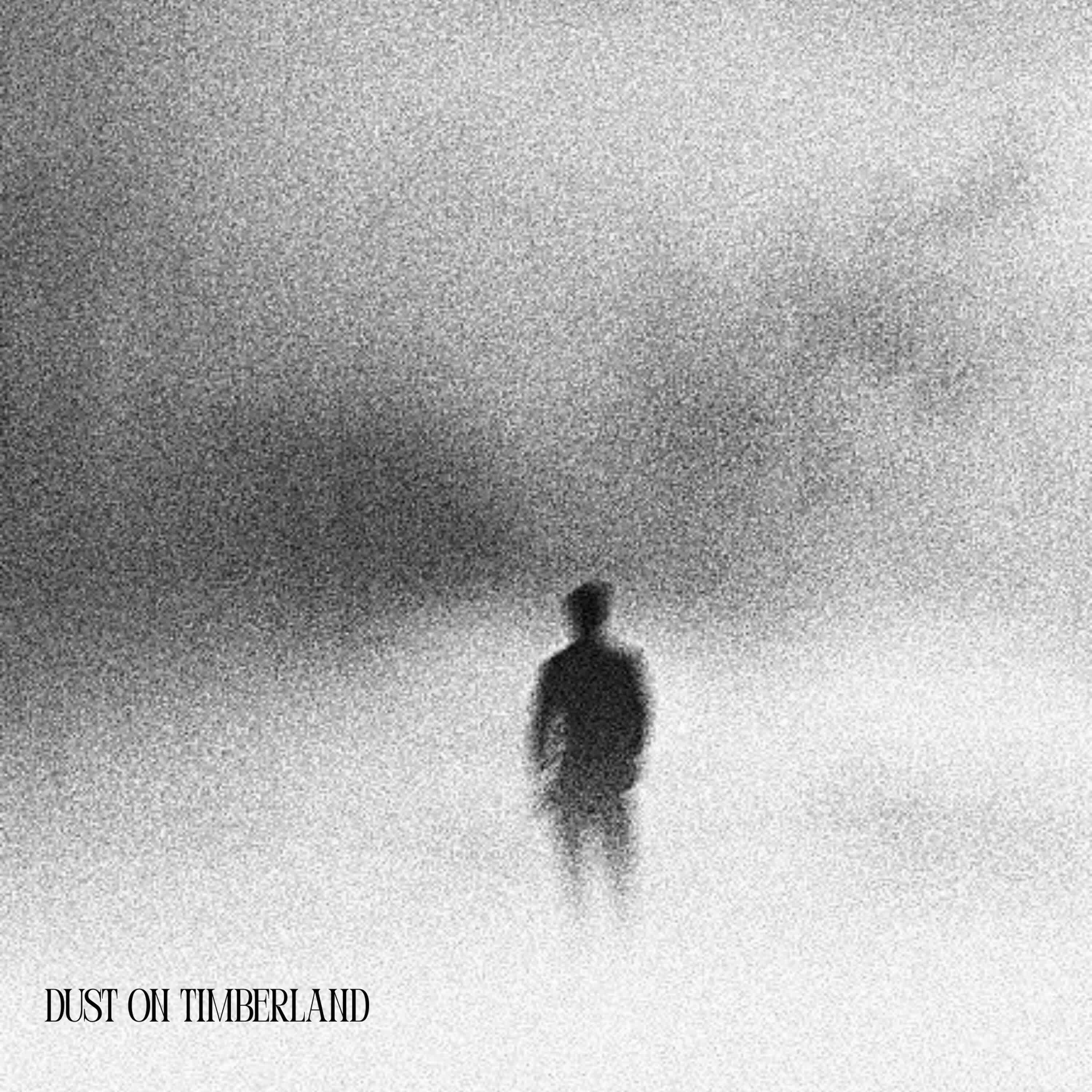 Релиз Dust On TimberLand