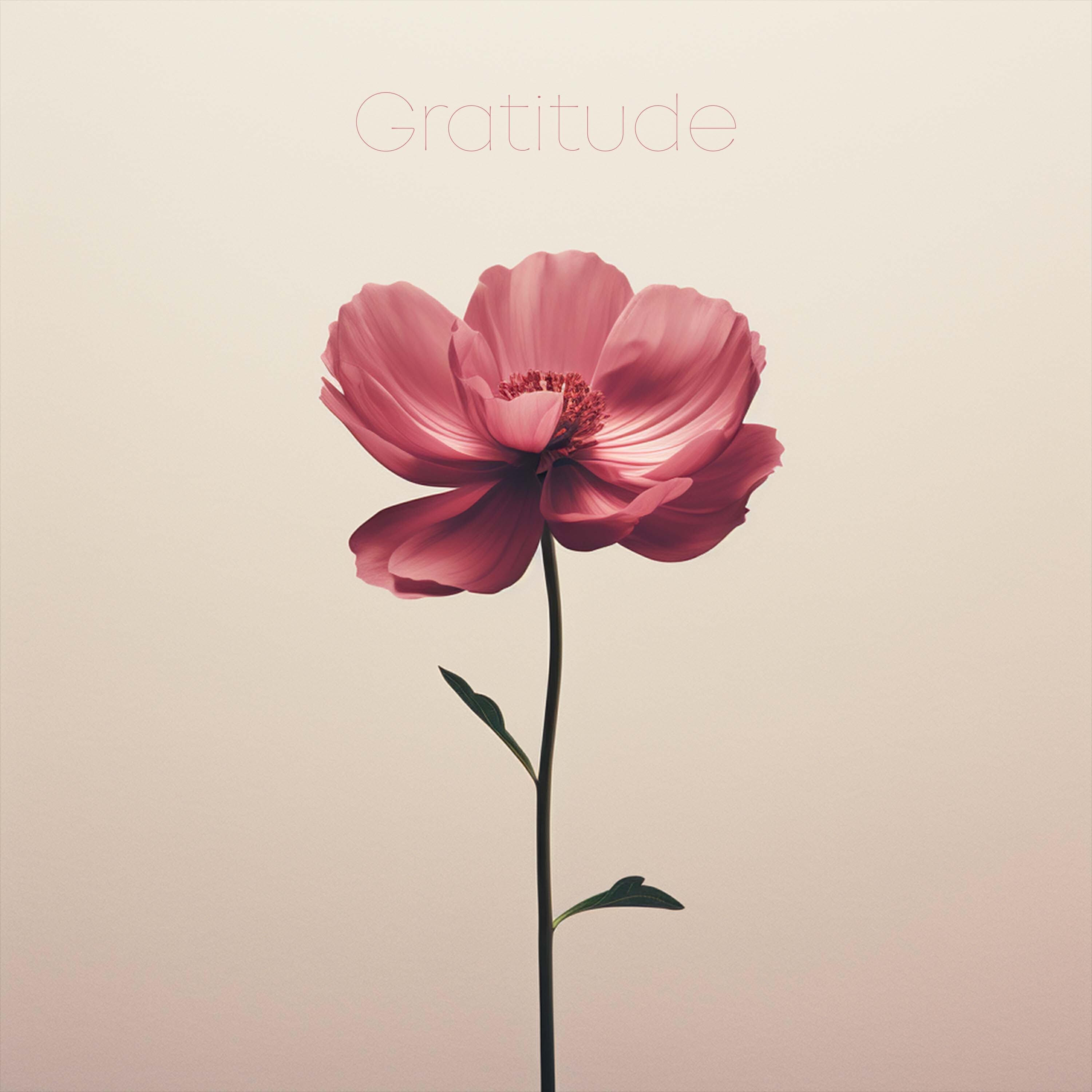 Релиз Gratitude