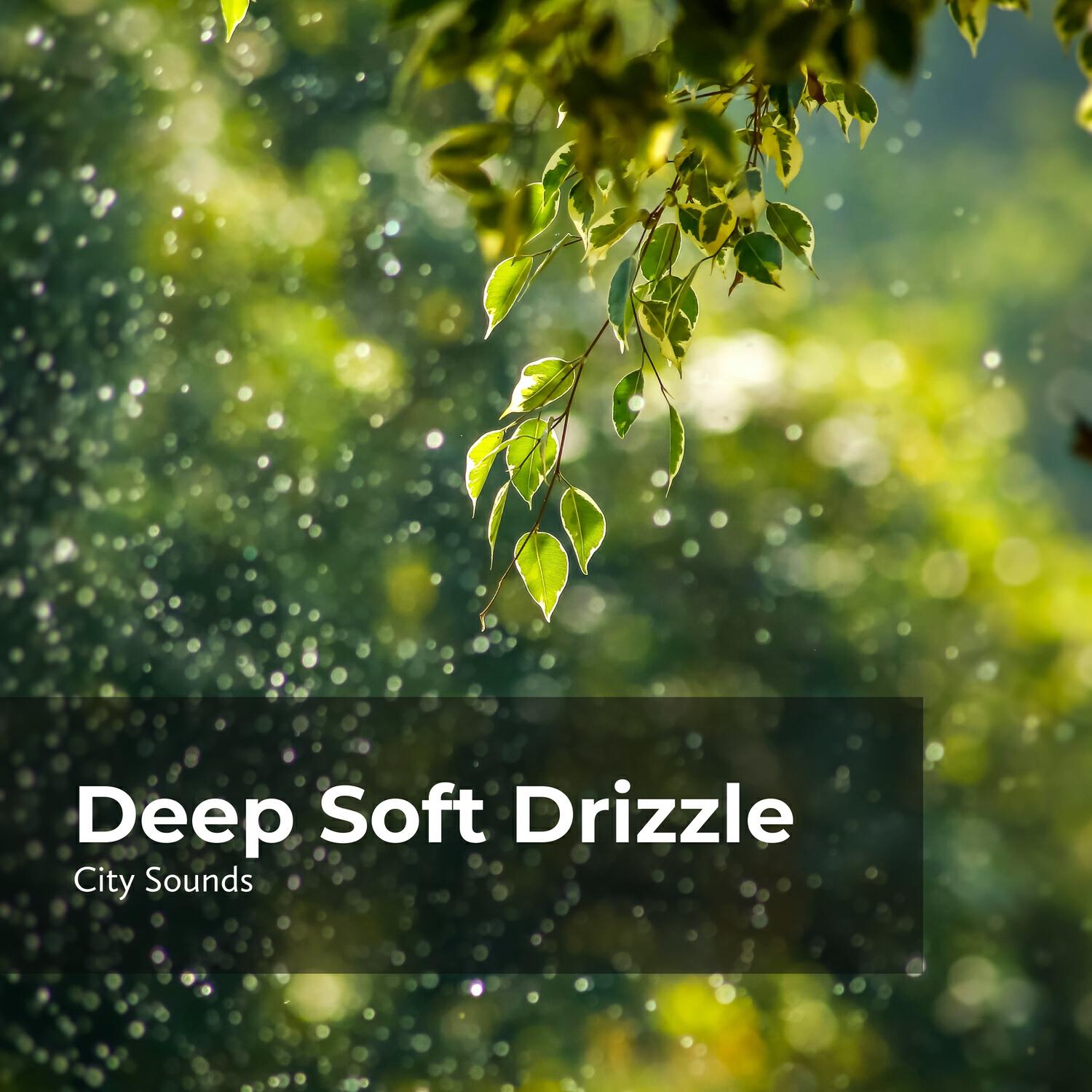 Релиз Deep Soft Drizzle
