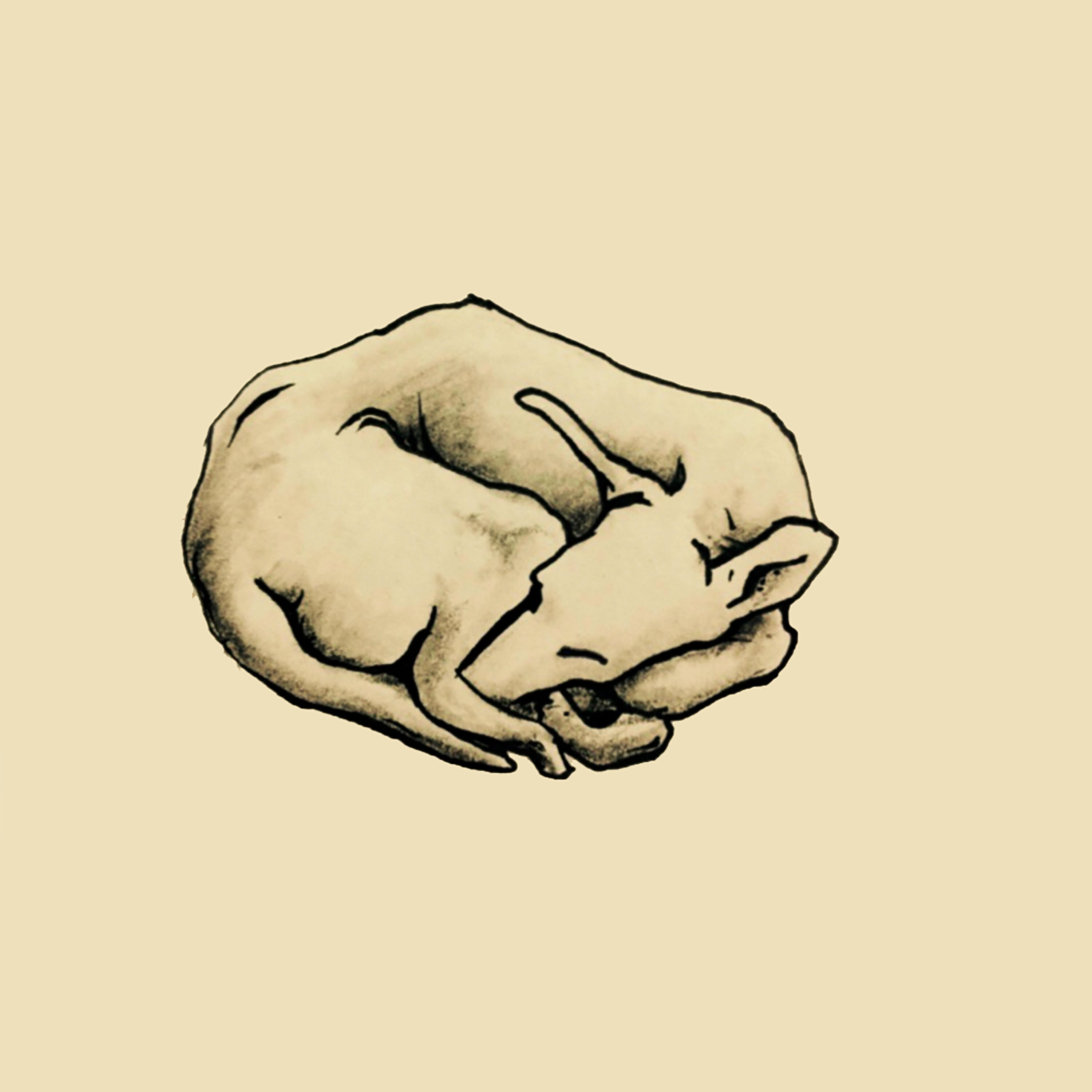 Релиз Ofelia