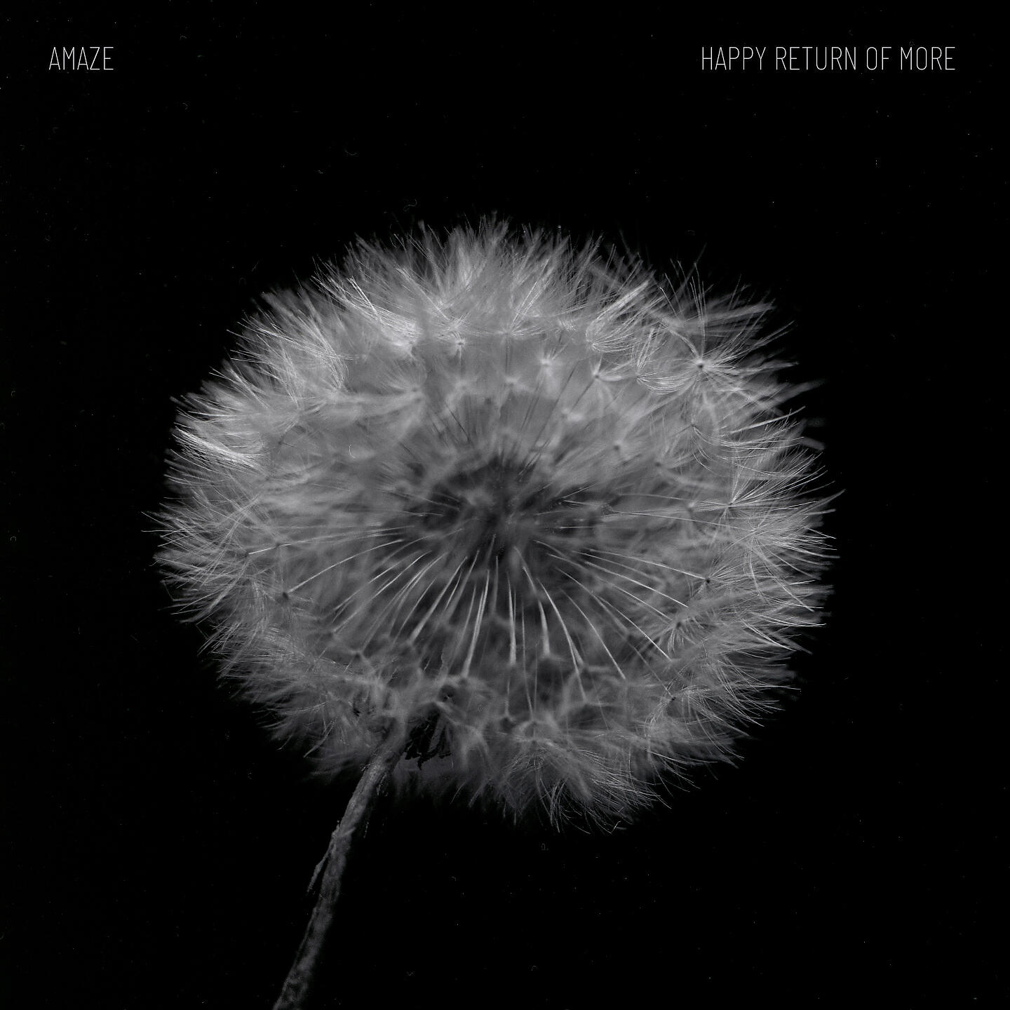 Релиз Happy Return Of More