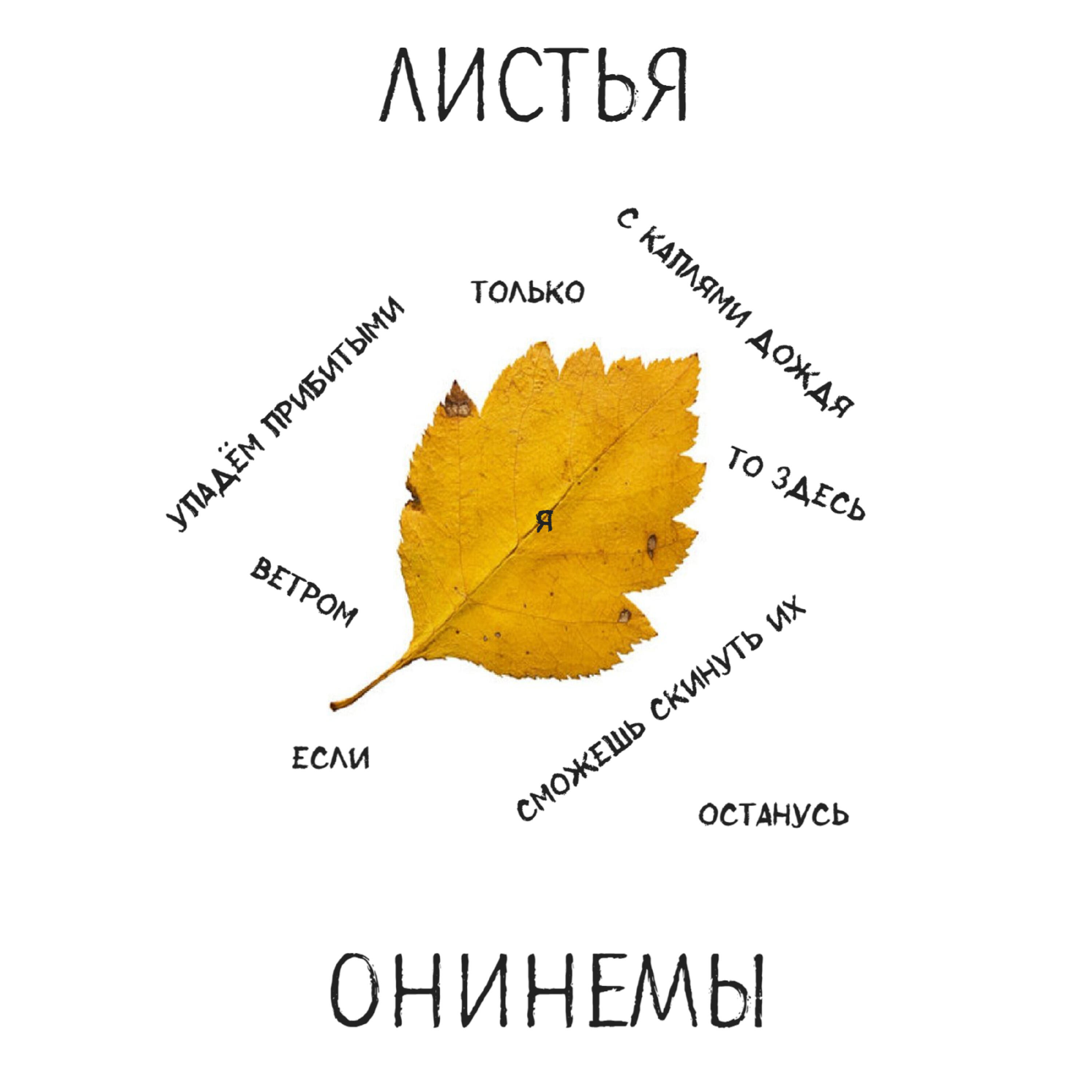 Никита Лобачев